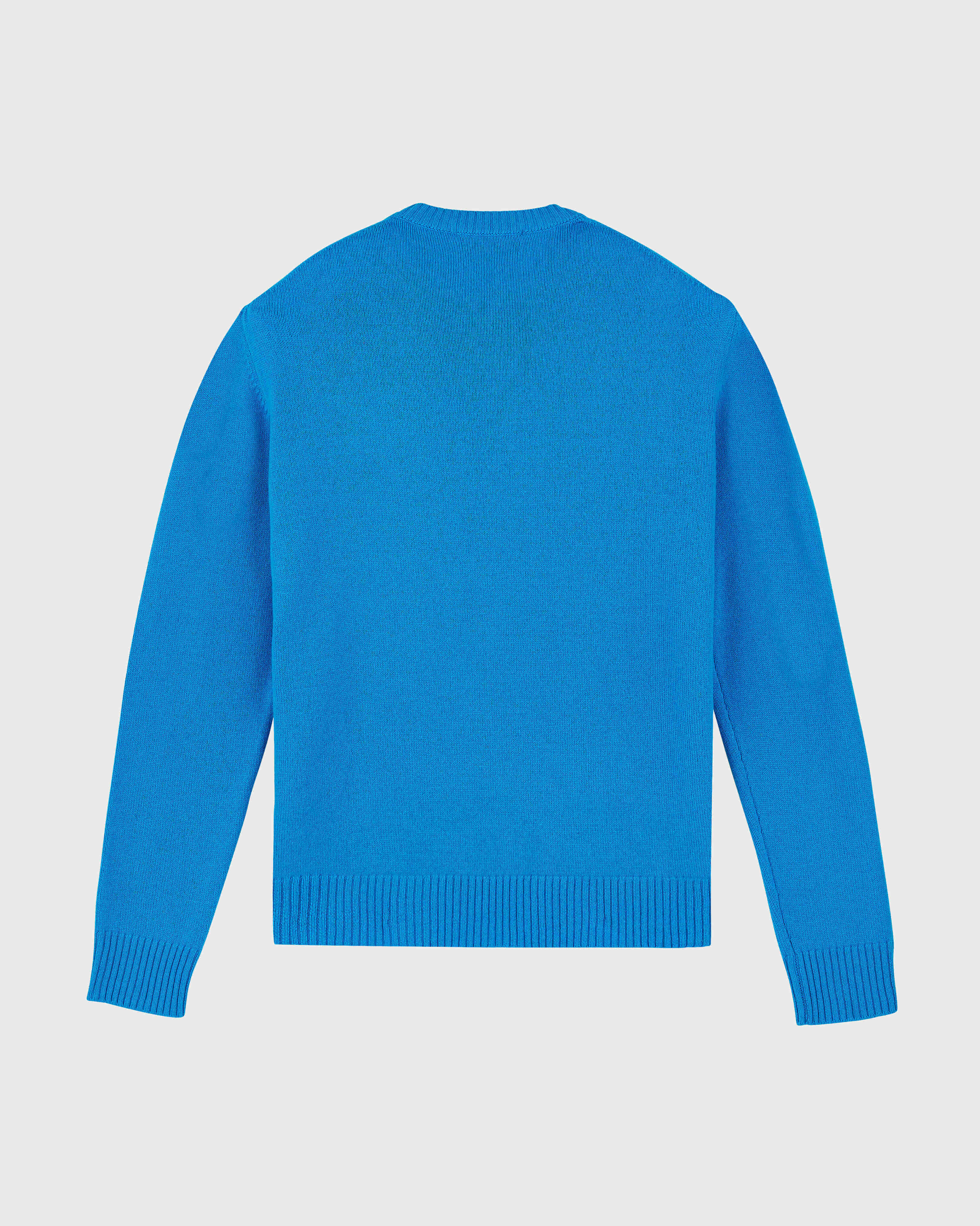 Jersey de algodón y cachemir de cuello redondo y estampado Turtle para hombre NEON BLUE back view