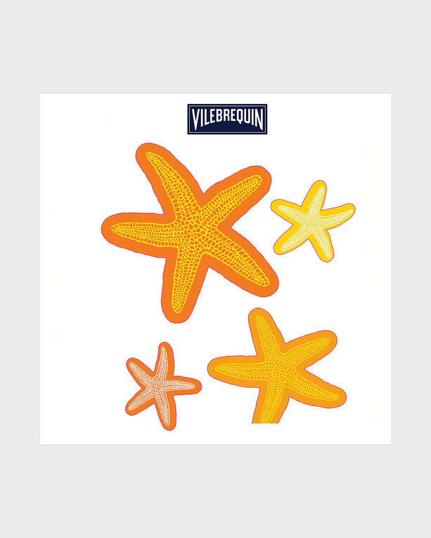 Vilebrequin - Sea Life Car Stickers - Vilebrequin X Fiat - Sti - Sticker - Orange - Size OSFA