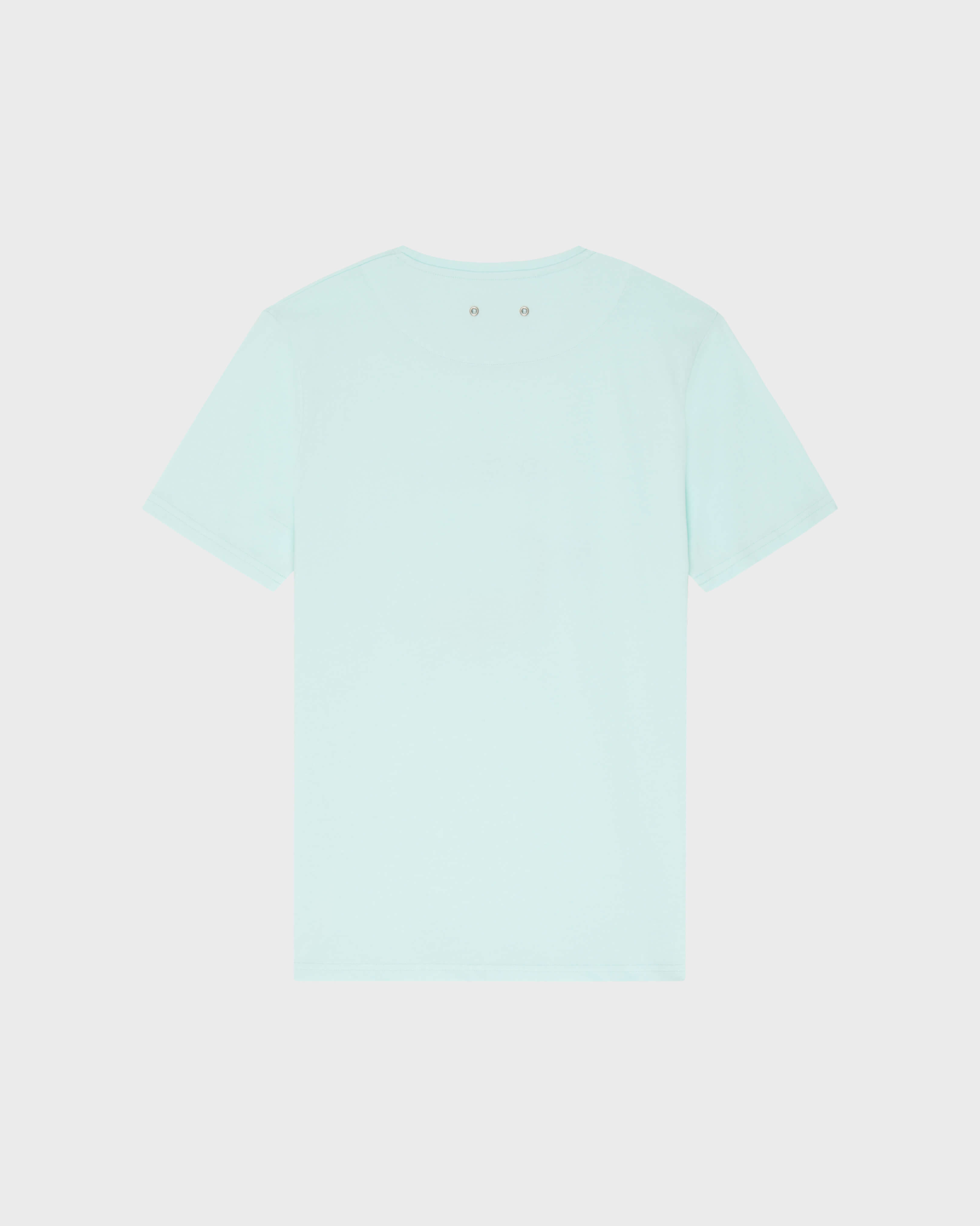 Men Organic Cotton T-shirt Whales BLUE NOTE back view