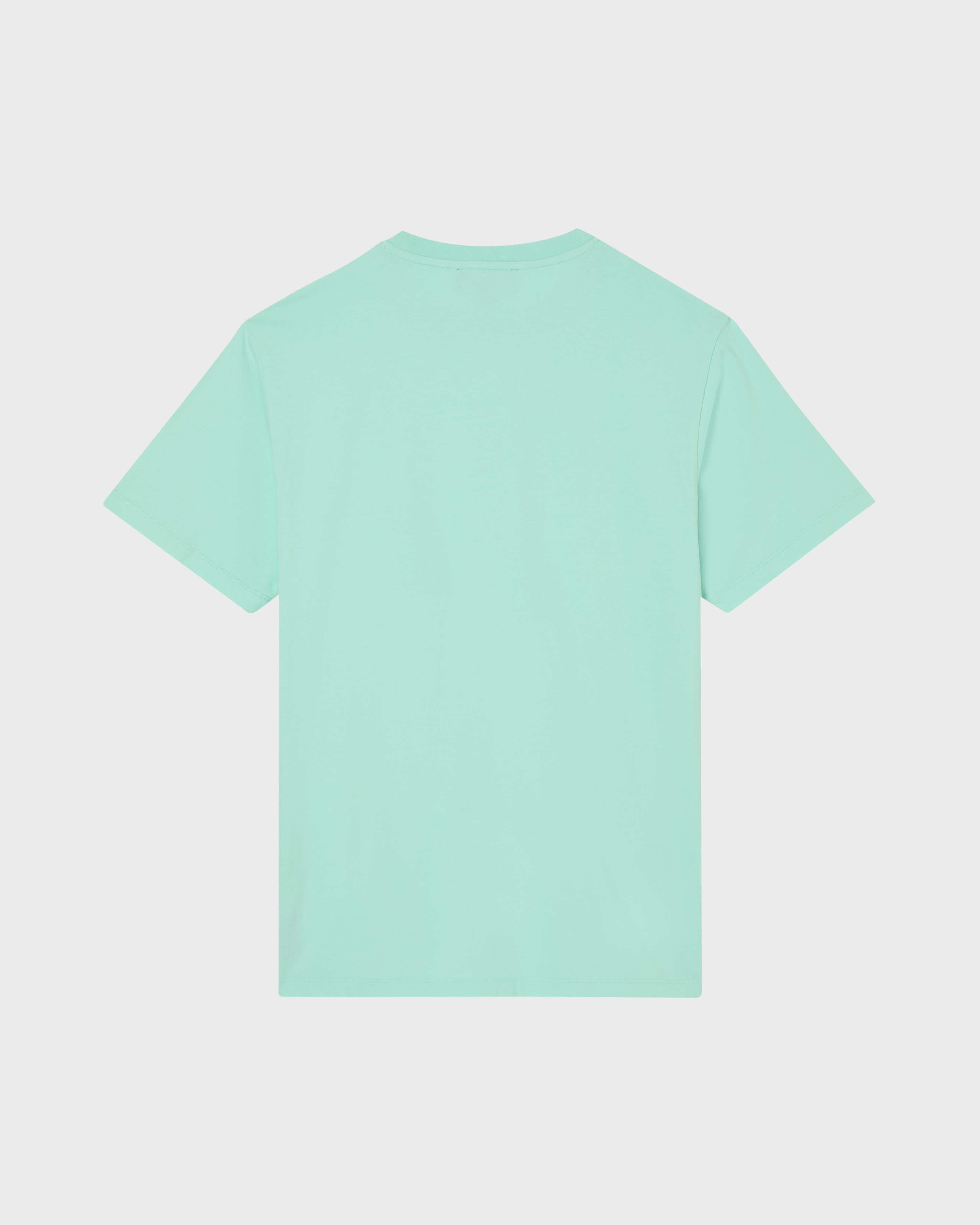 Men Organic Cotton T-shirt Big Turtle Embroidery CARIBBEAN back view