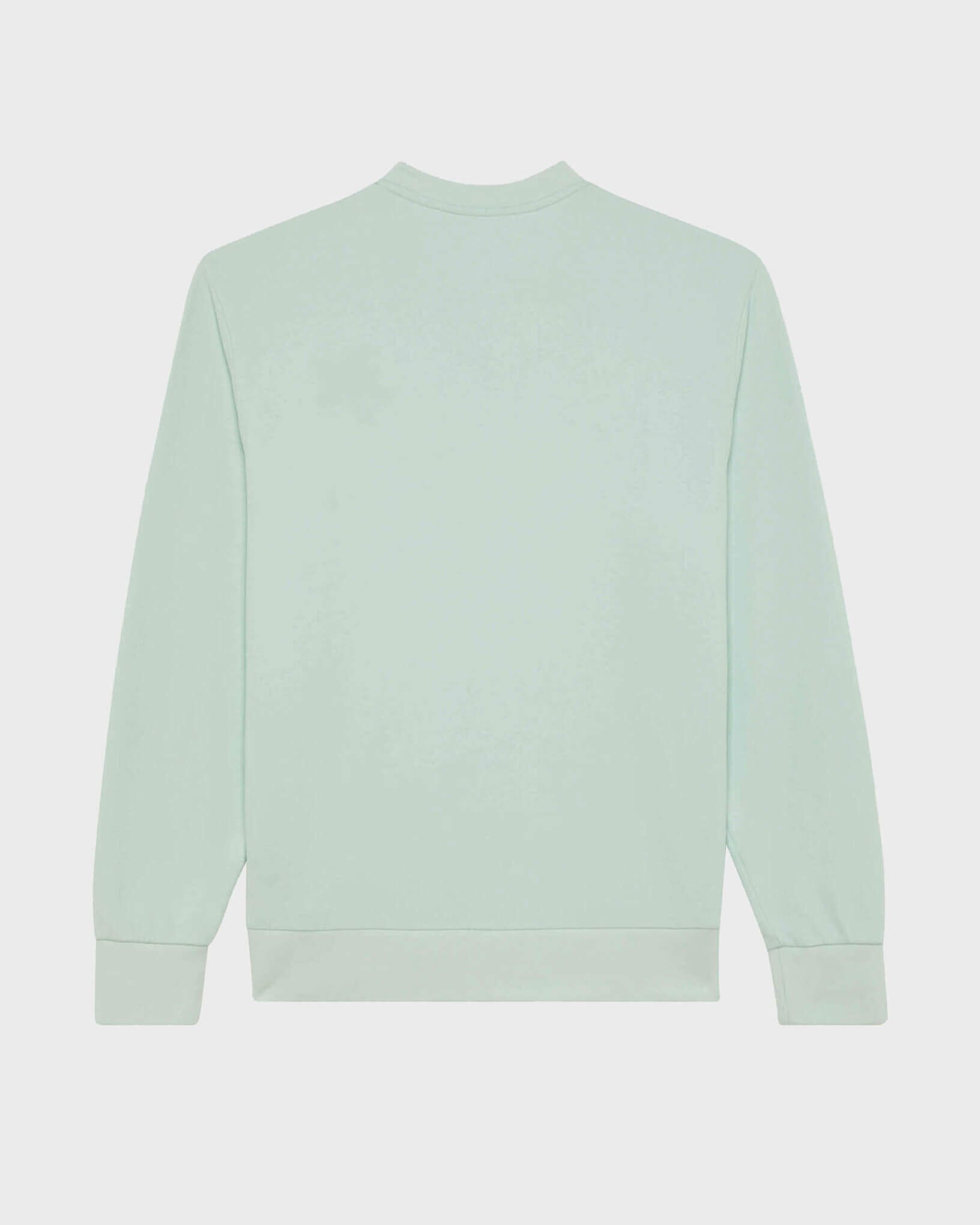 Men Crewneck Organic Cotton Sweatshirt Turtle PACIFIC back view