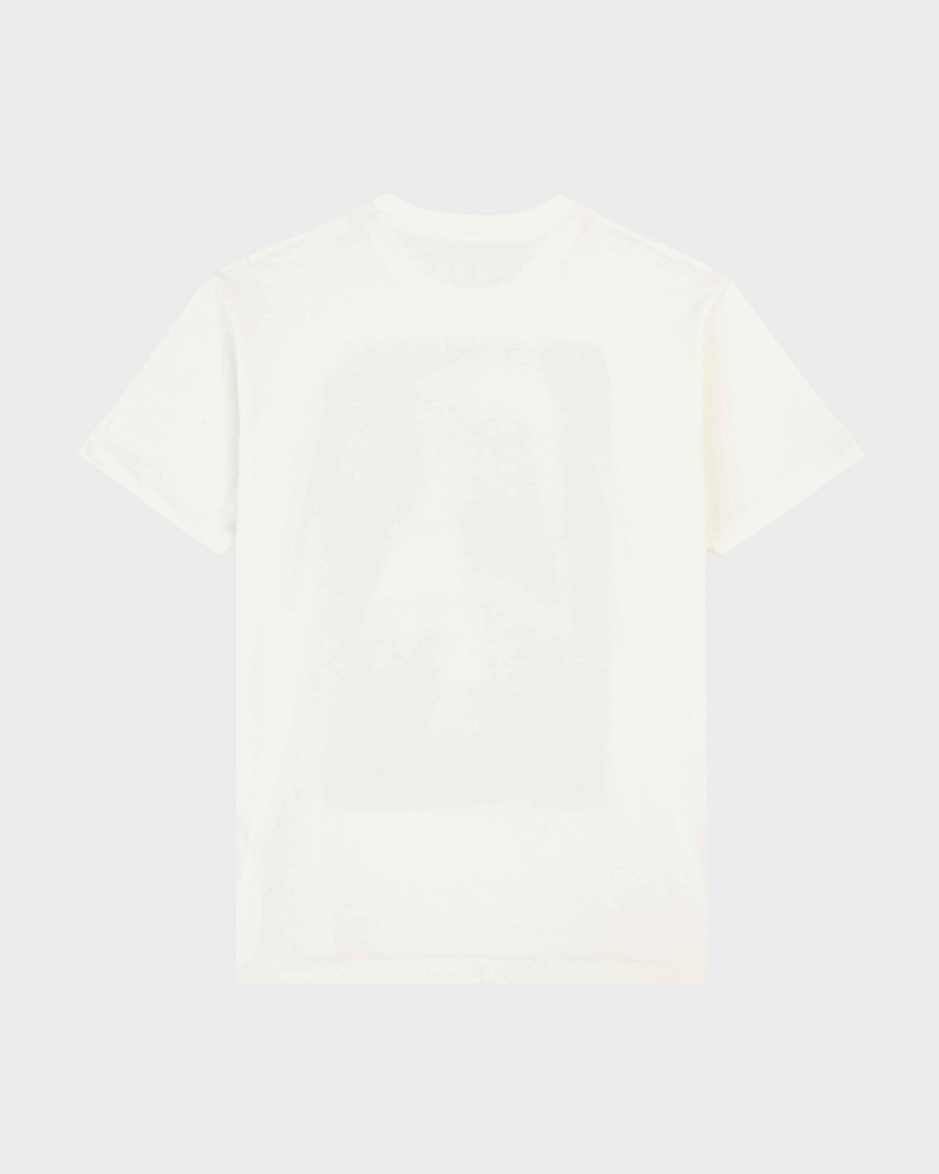 Camiseta de algodón con estampado Sailing Boat From The Sky para hombre OFF WHITE back view