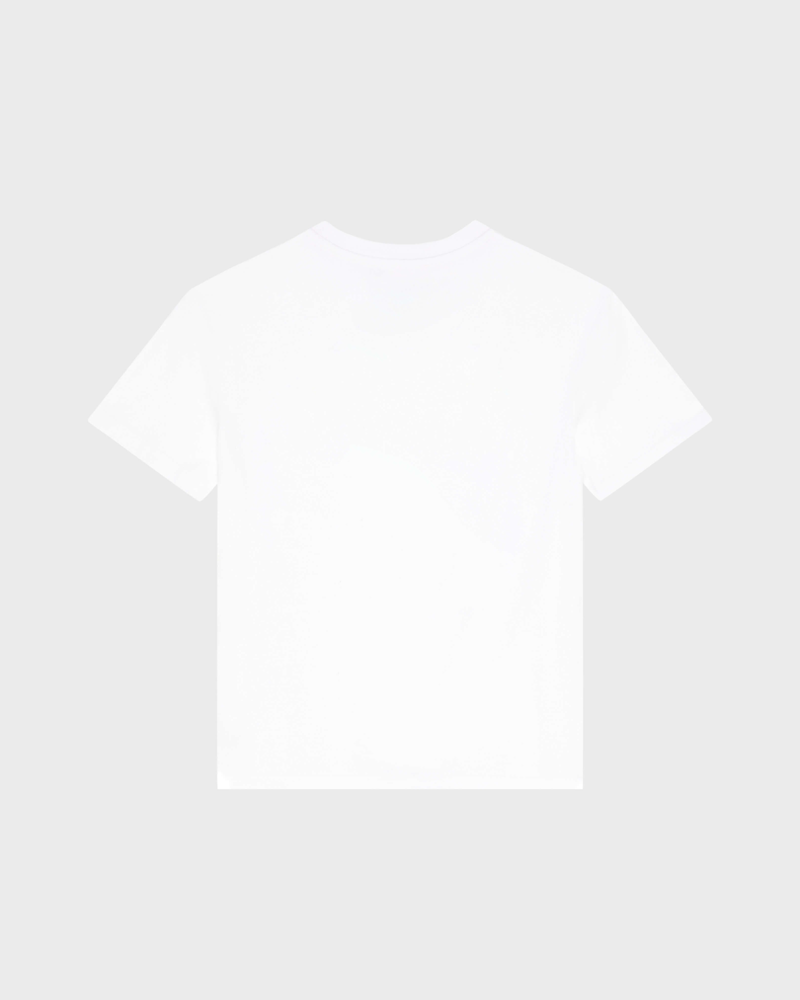 Camiseta de algodón orgánico con estampado Big Turtle para niño BLANCO back view