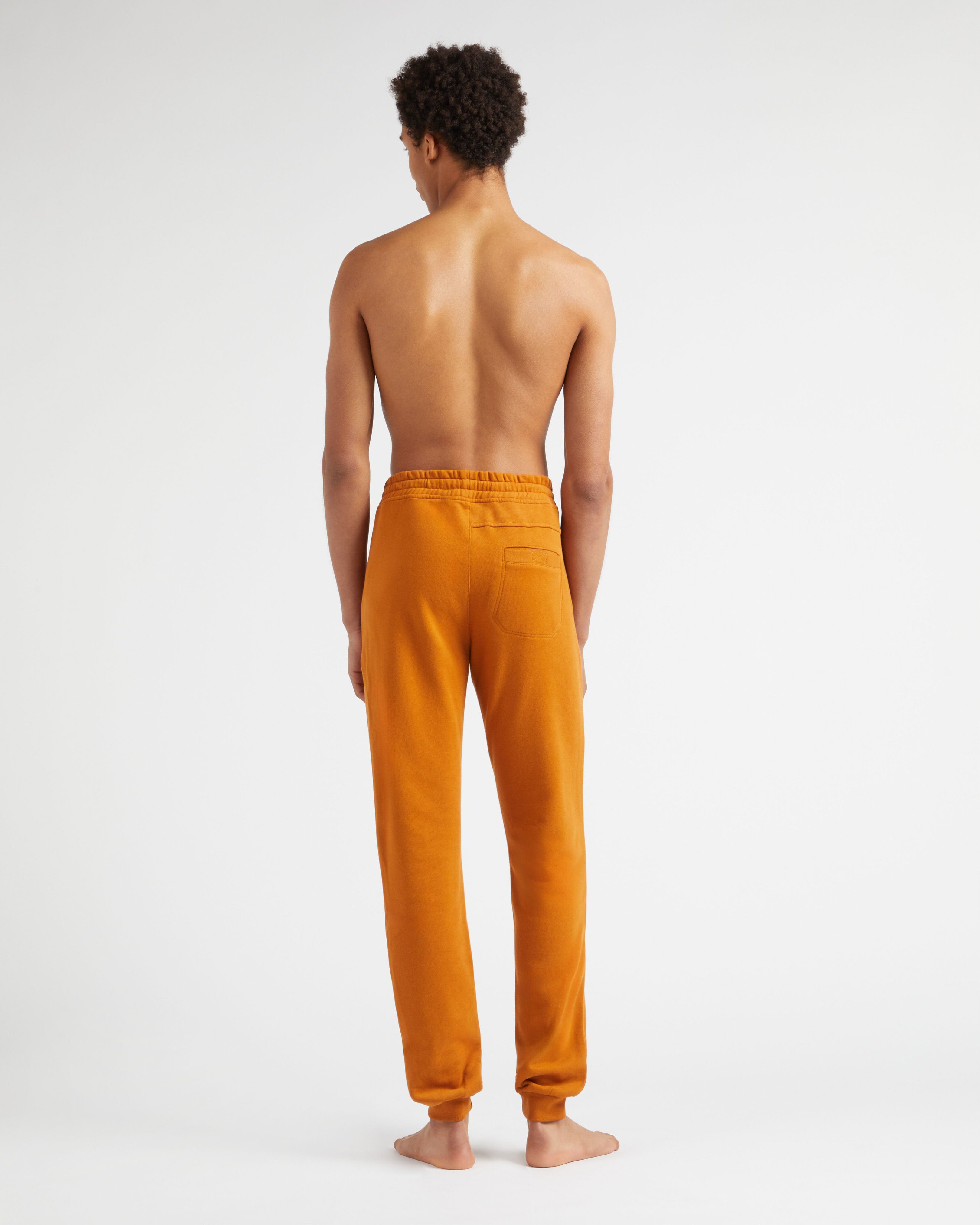 Men Jogger Cotton Pants Solid CARAMEL backworn view
