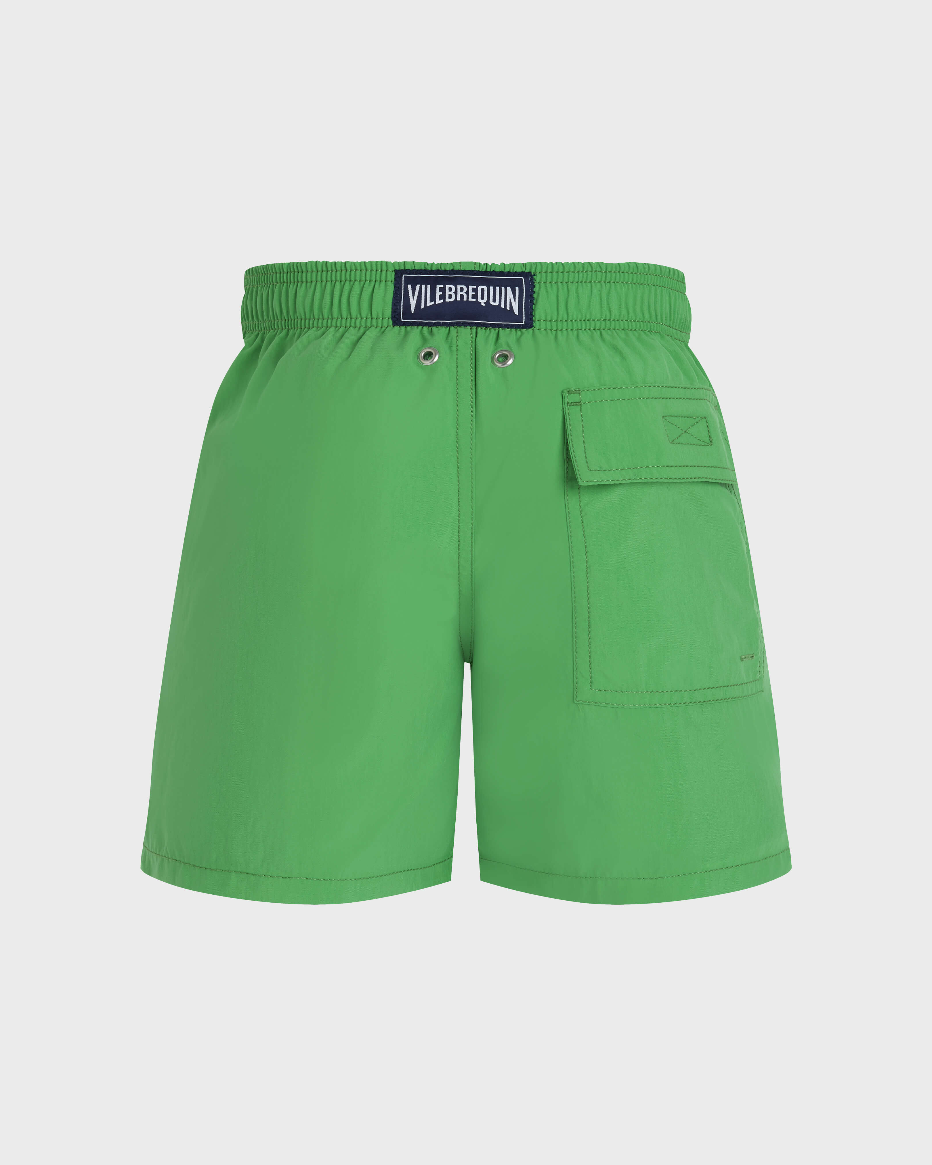 Boys Swim Shorts Water-reactive Mosaic Lizard LASER back view