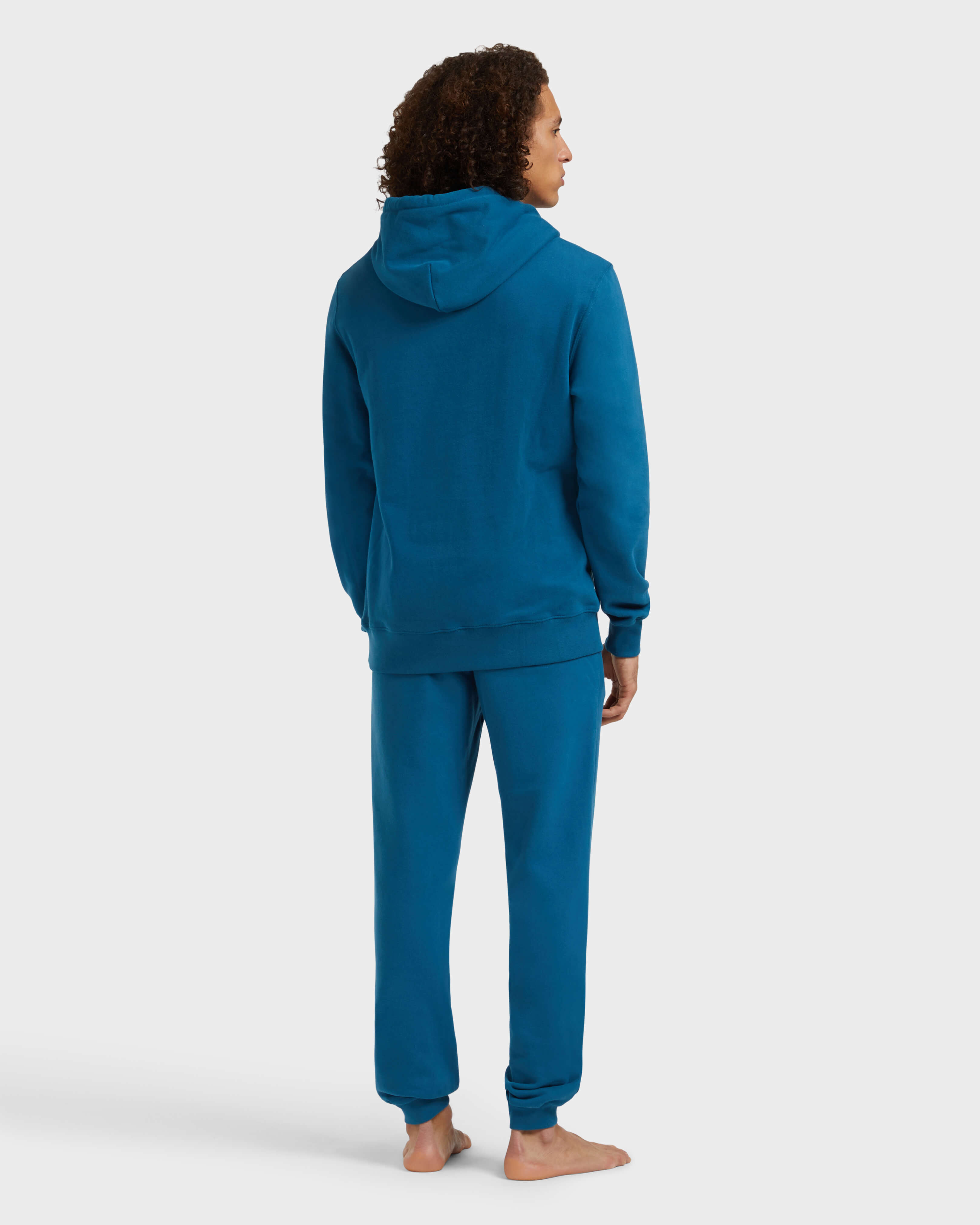 Men Cotton Hoodie Sweatshirt Solid PEACOCK backworn view