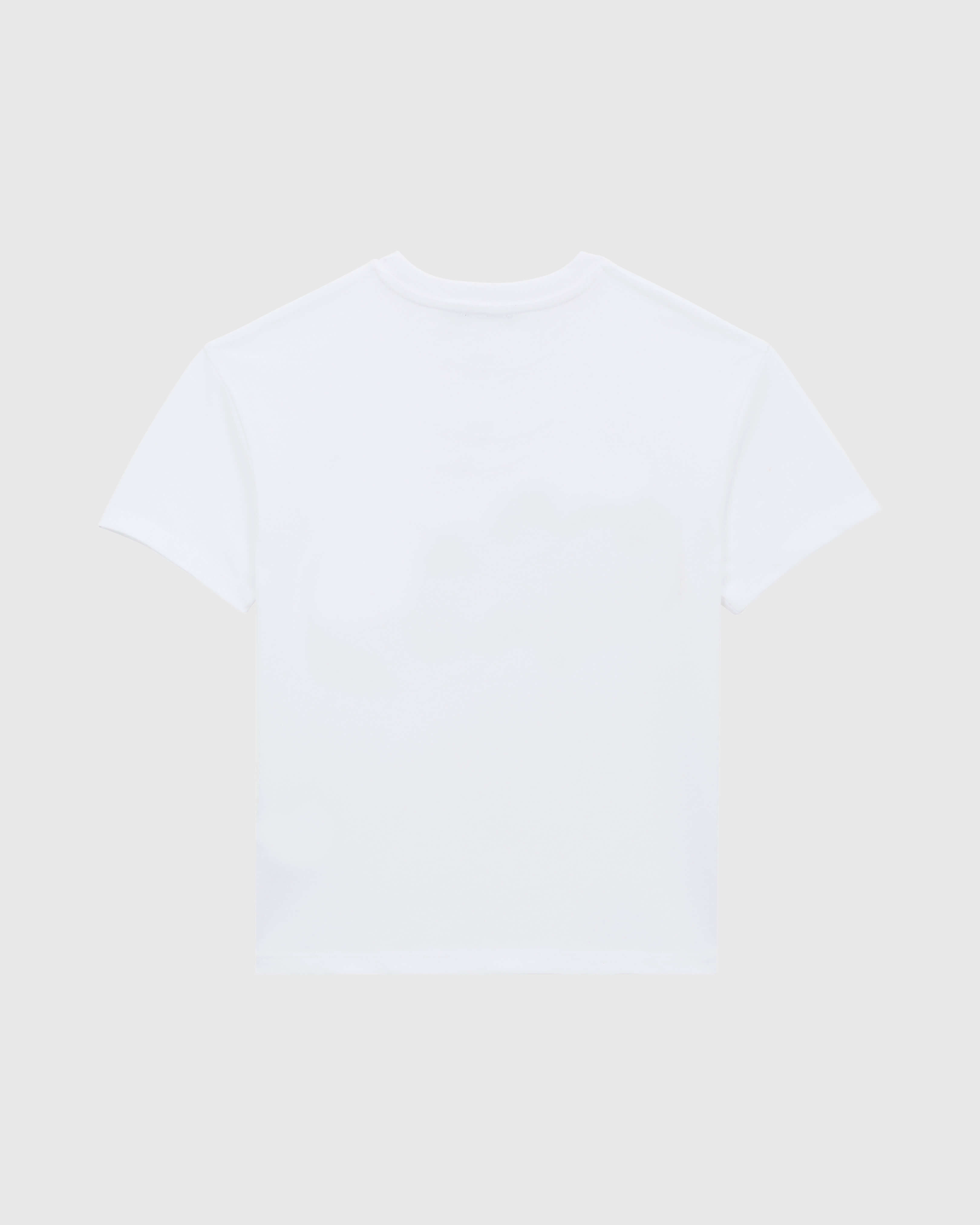 Boys Cotton T-shirt Homar Pixel WHITE back view
