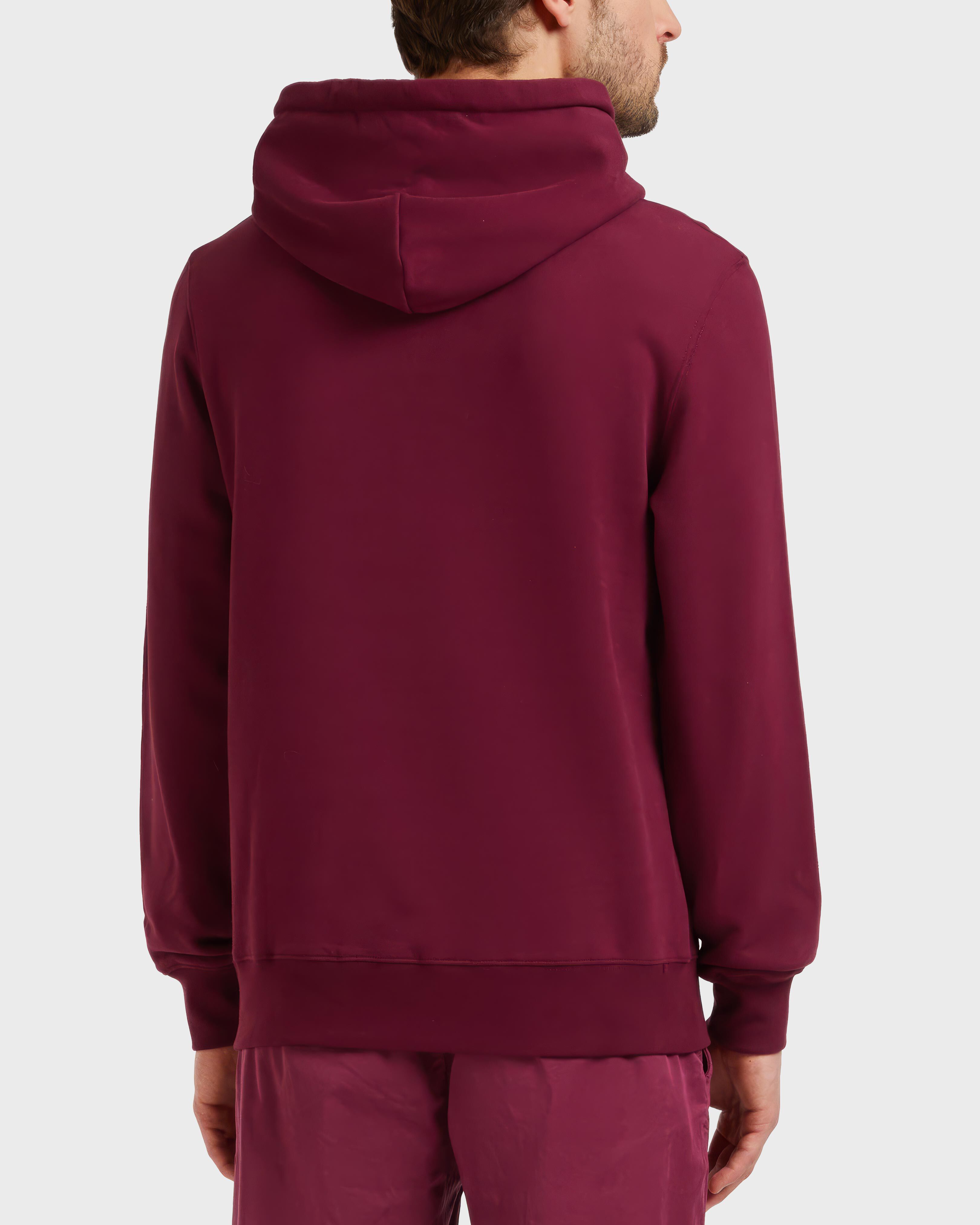 Men Cotton Hoodie Sweatshirt Solid BACCHUS backworn view