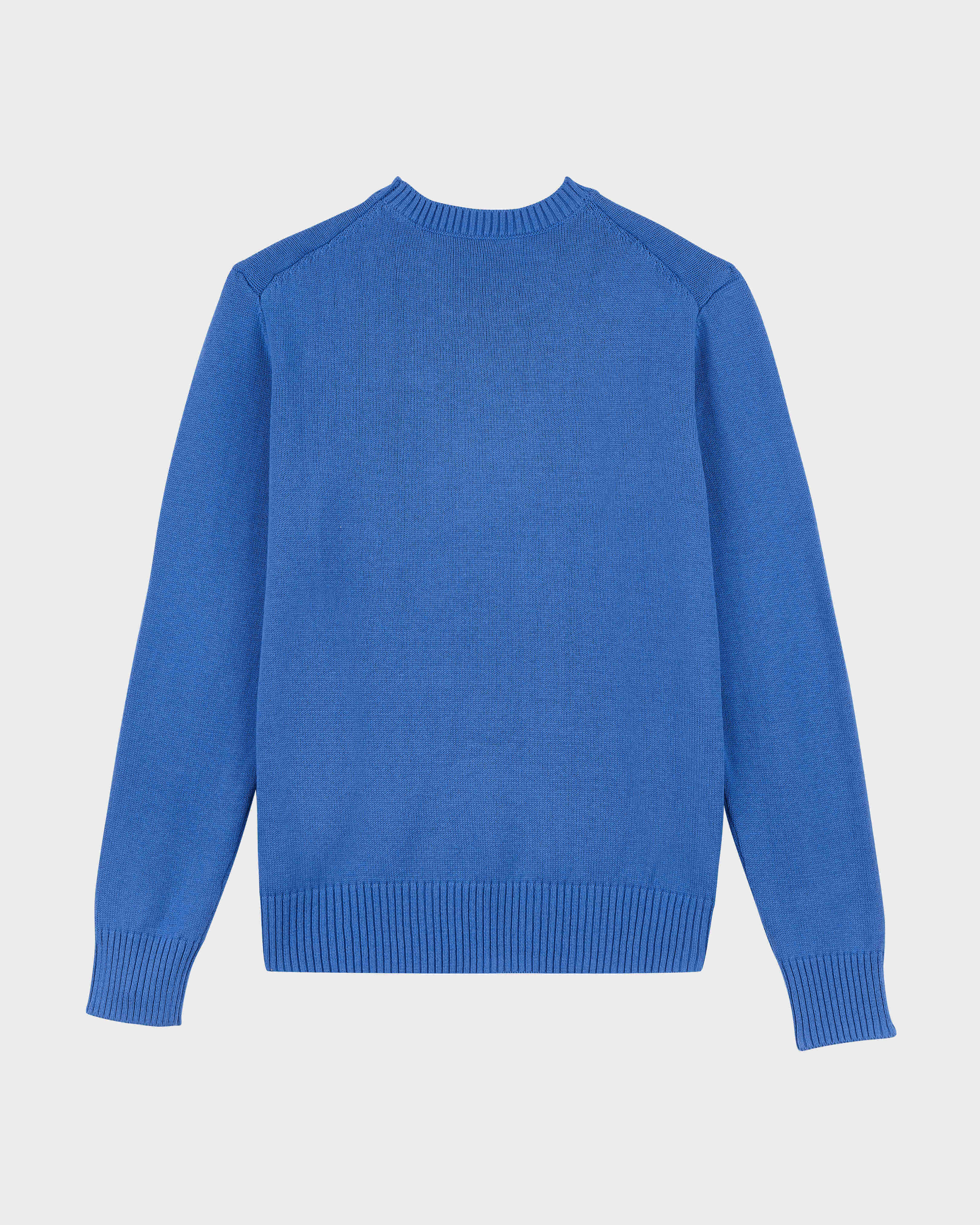 Men Cotton and Cashmere Crewneck Sweater Turtle SEA BLUE back view