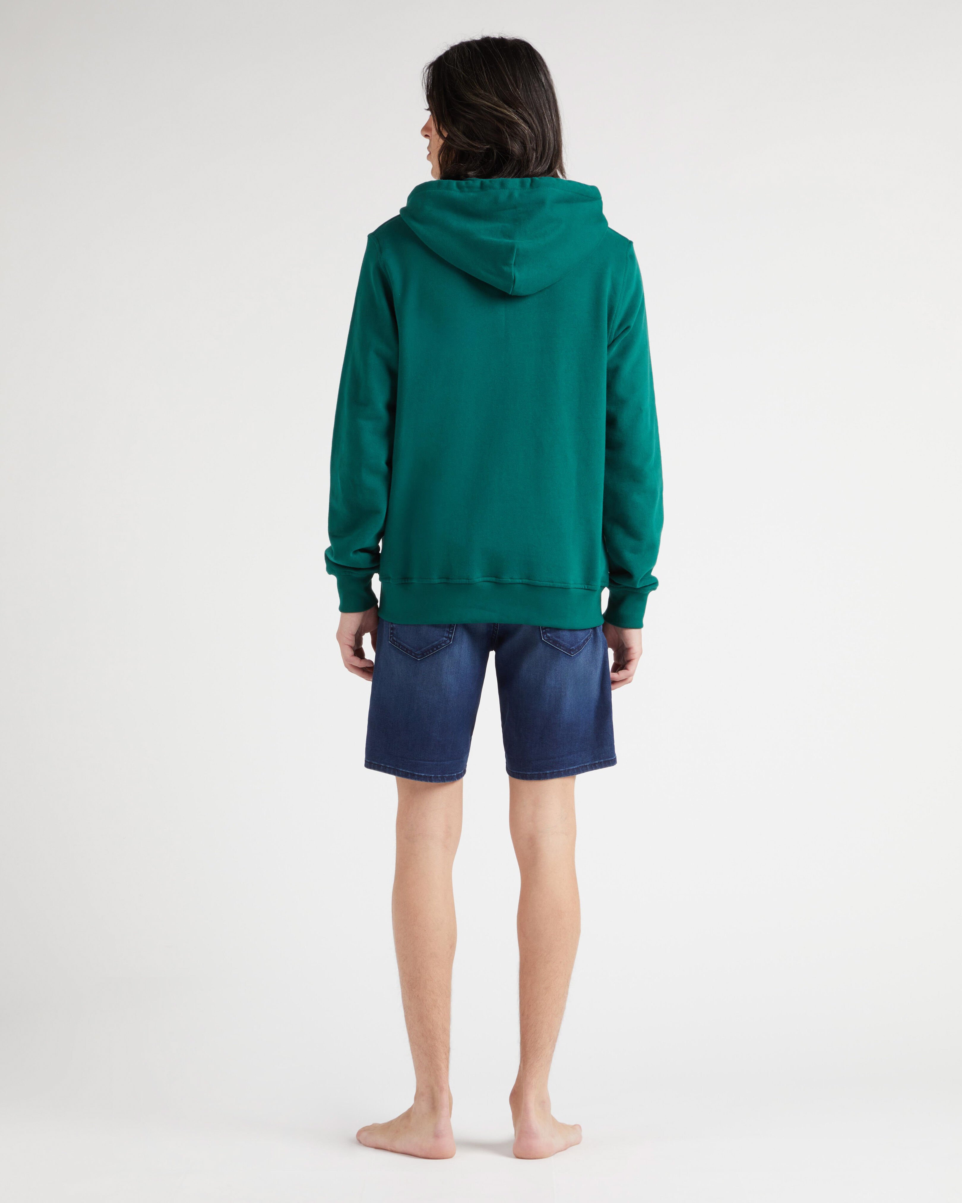 Men Cotton Full Zip Hoodie Sweatshirt Stitched Logo IVY backworn view
