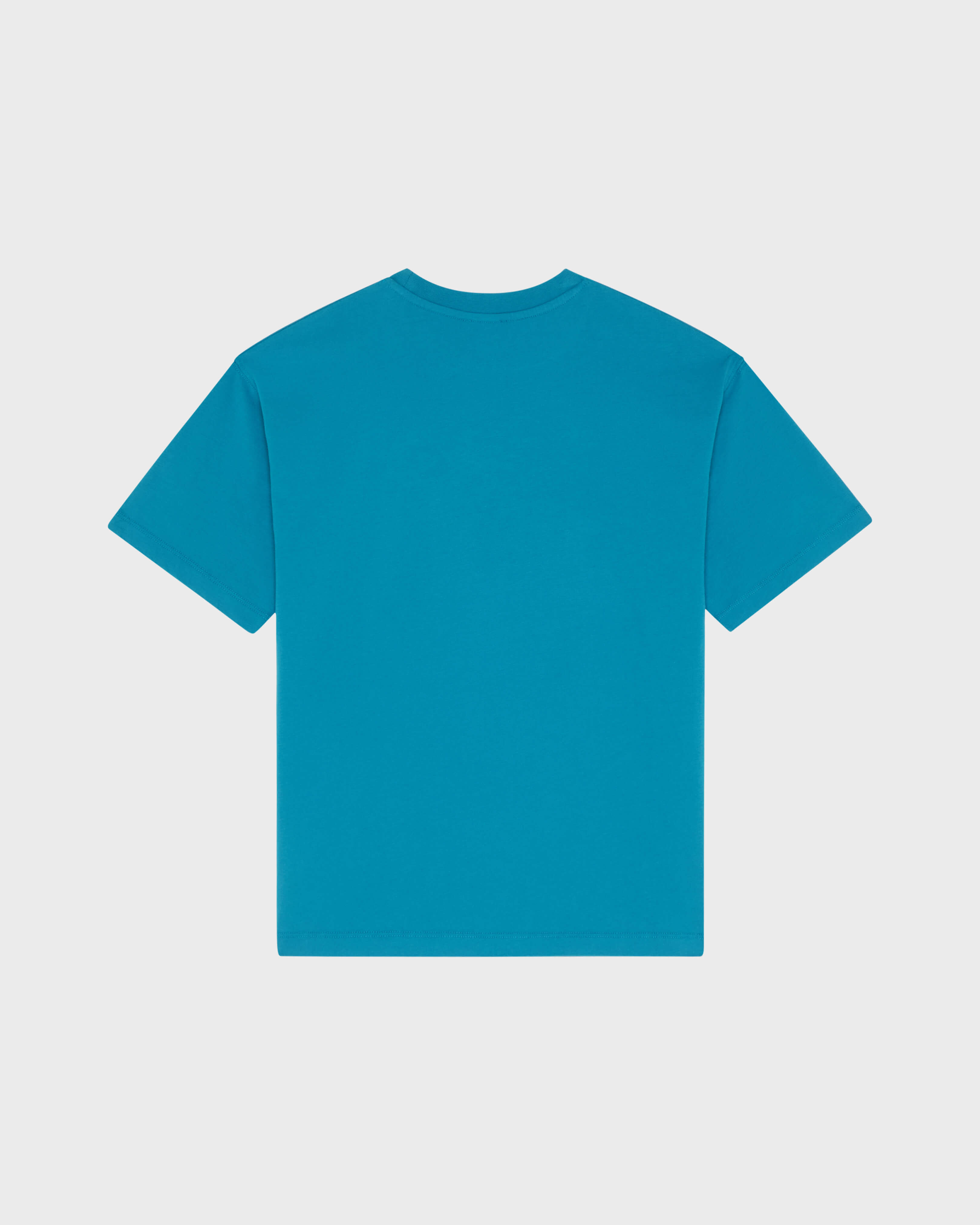 Camiseta extragrande de algodón orgánico con estampado Big Turtle para niño COIN COIN back view