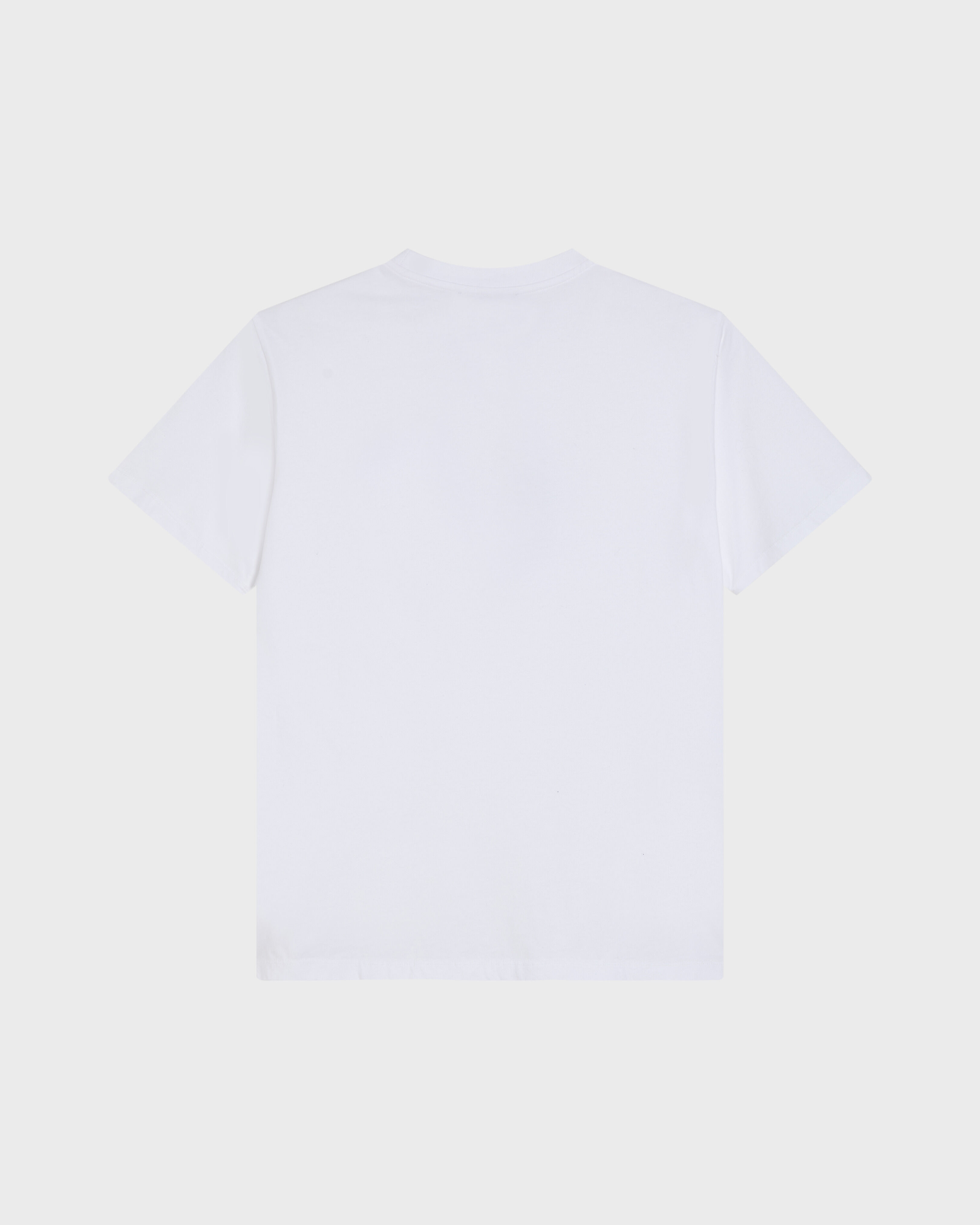 Camiseta de algodón orgánico Sunny Topolino - Vilebrequin x Fiat para hombre BLANCO back view