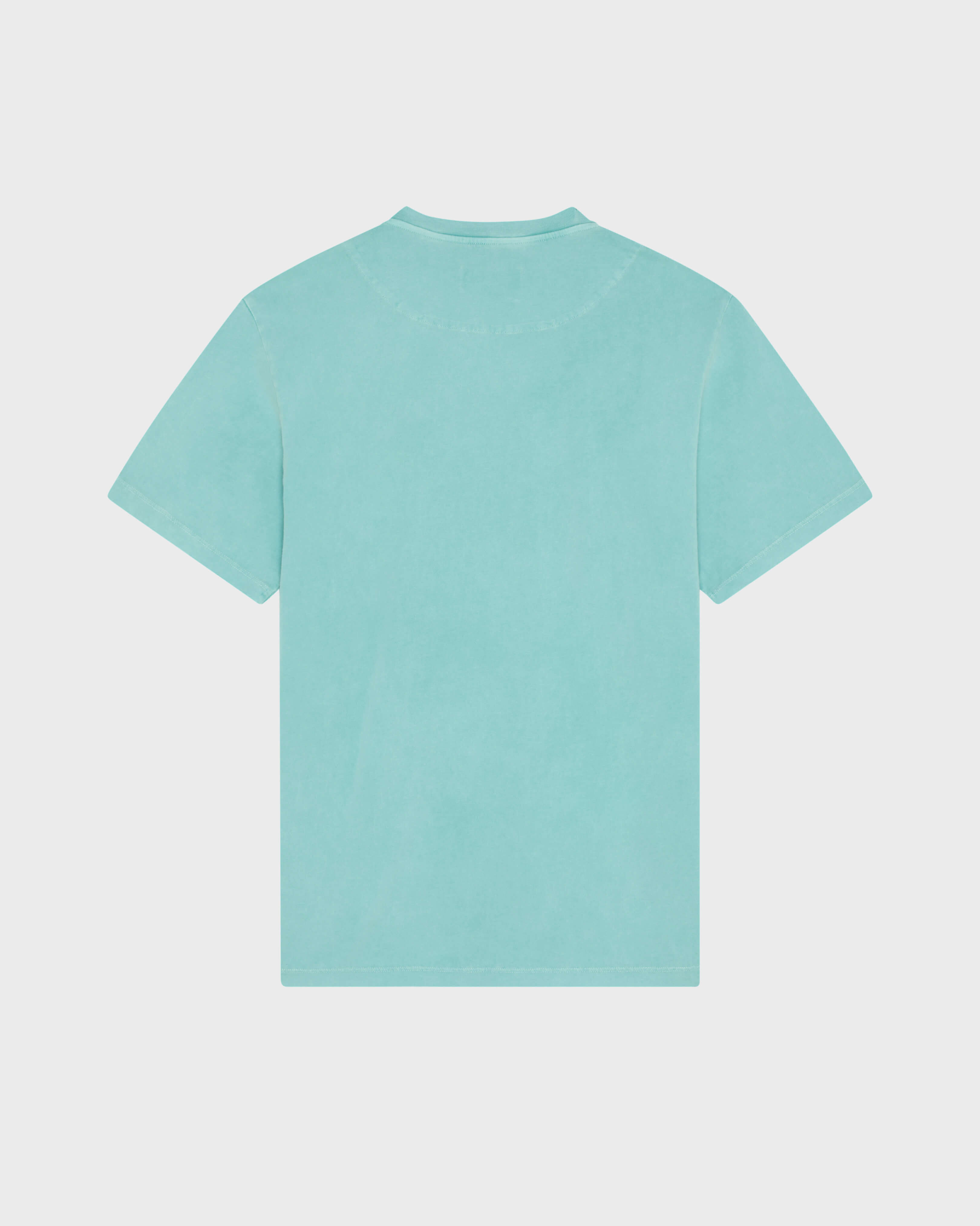 T-Shirt aus mineralgefärbter Baumwolle für Herren AVENTURINE back view