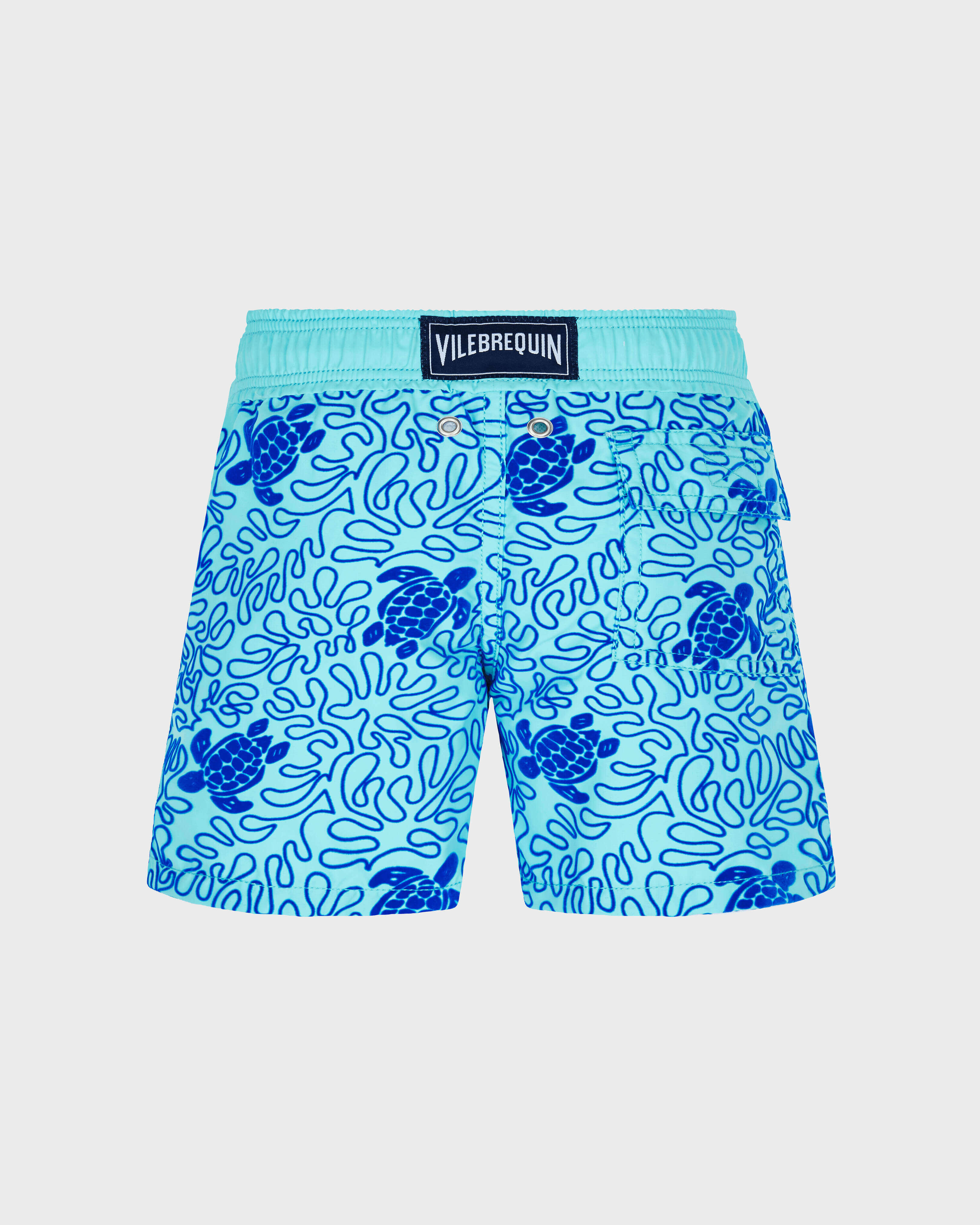 Maillot de bain garçon Turtles Splash Flocké BLEU LAZULI back view