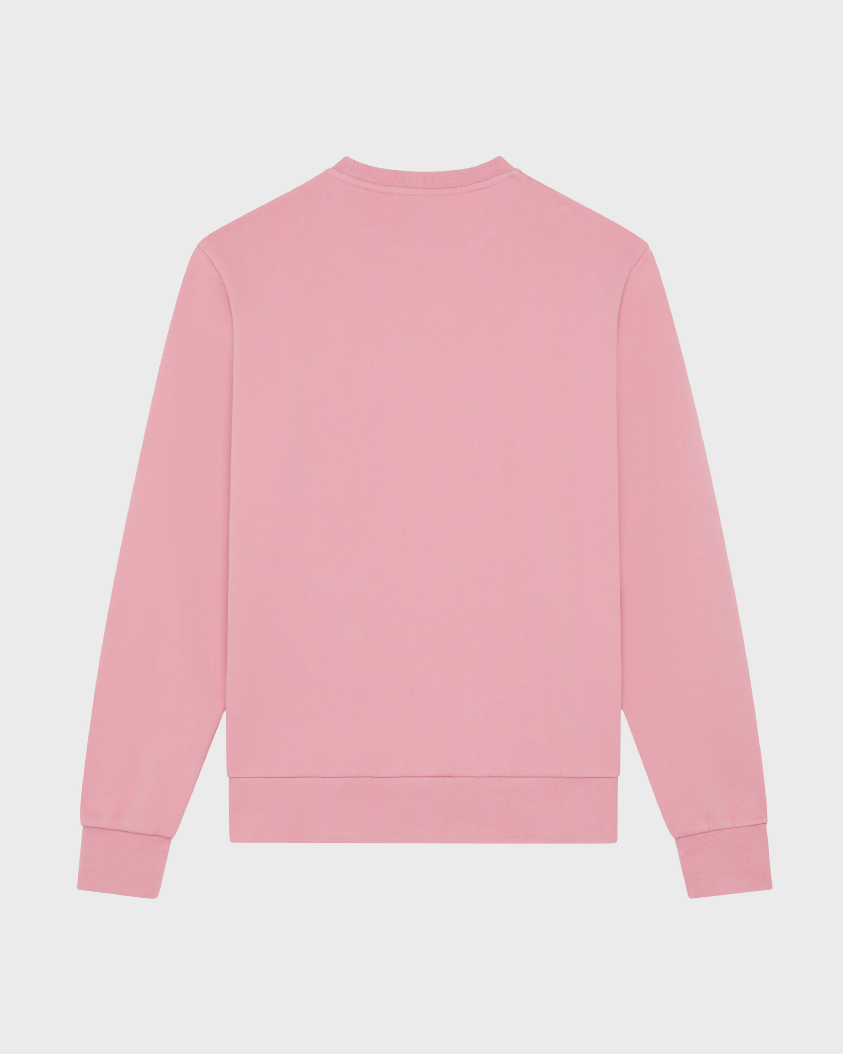 Men Crewneck Cotton Sweatshirt Big Turtle Embroidery BOUDOIR back view