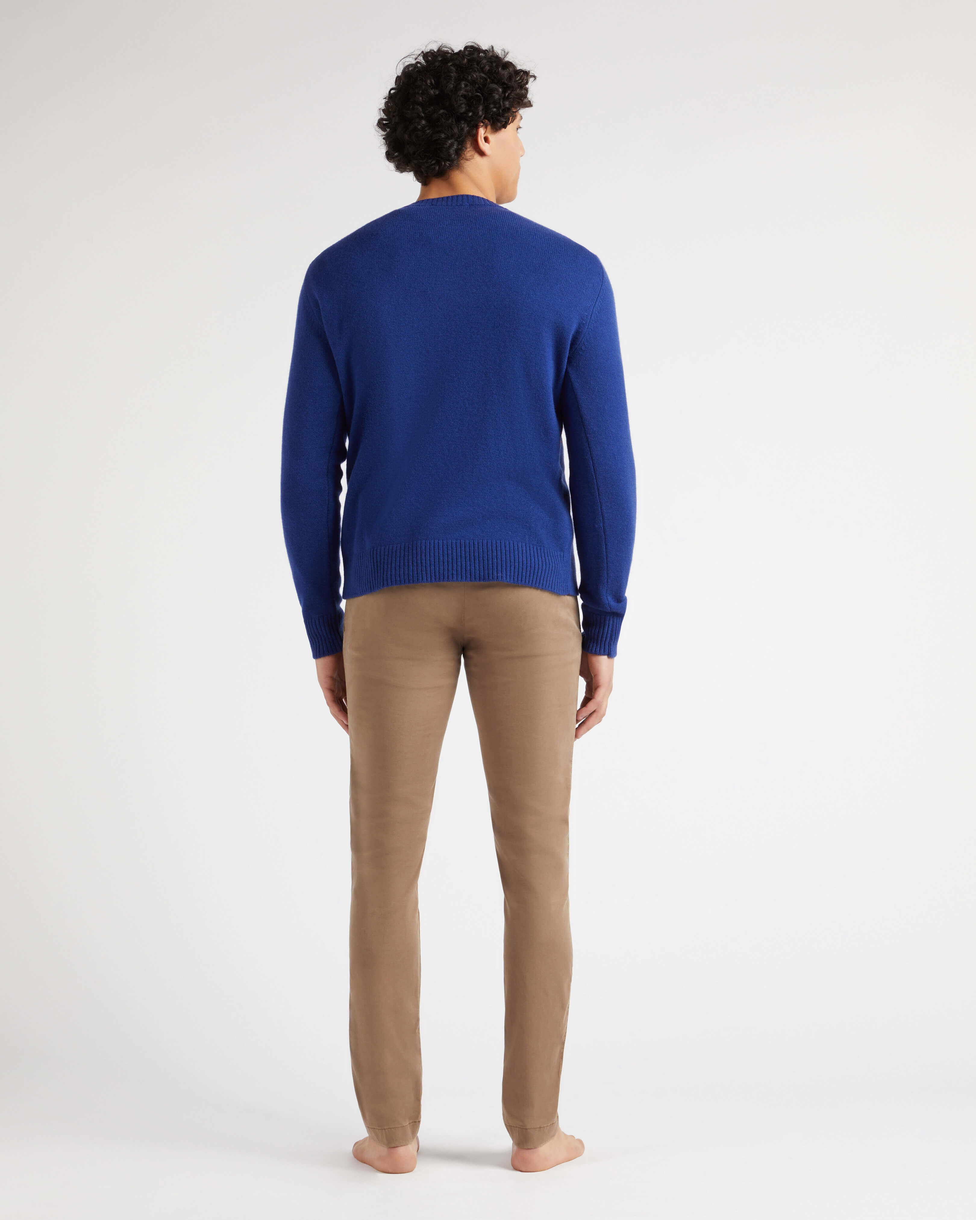 Men Crewneck Cotton and Cashmere Sweater Turtle PURPLE BLUE backworn view