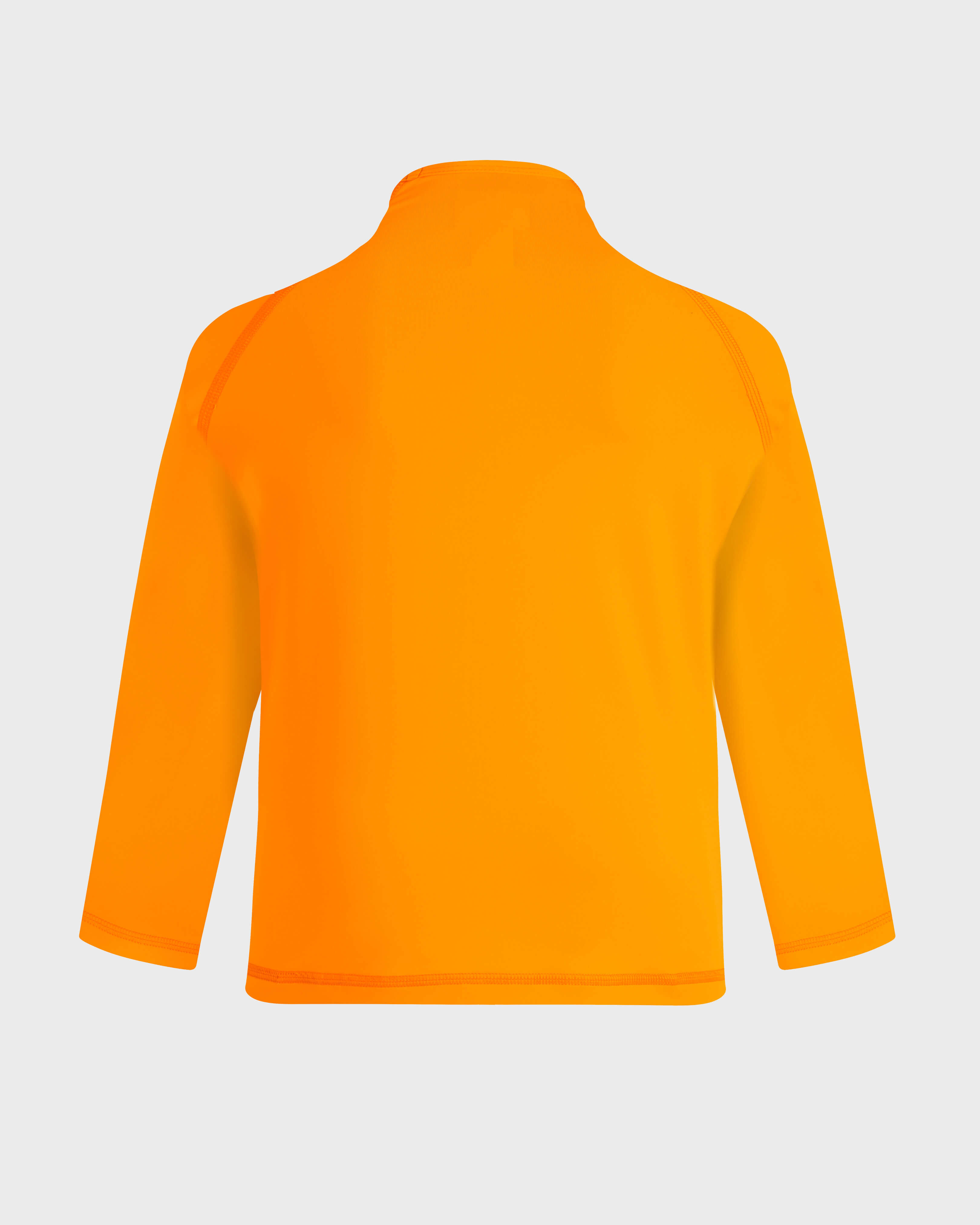 Boys Long sleeves Rashguard Turtle VITAMIN back view