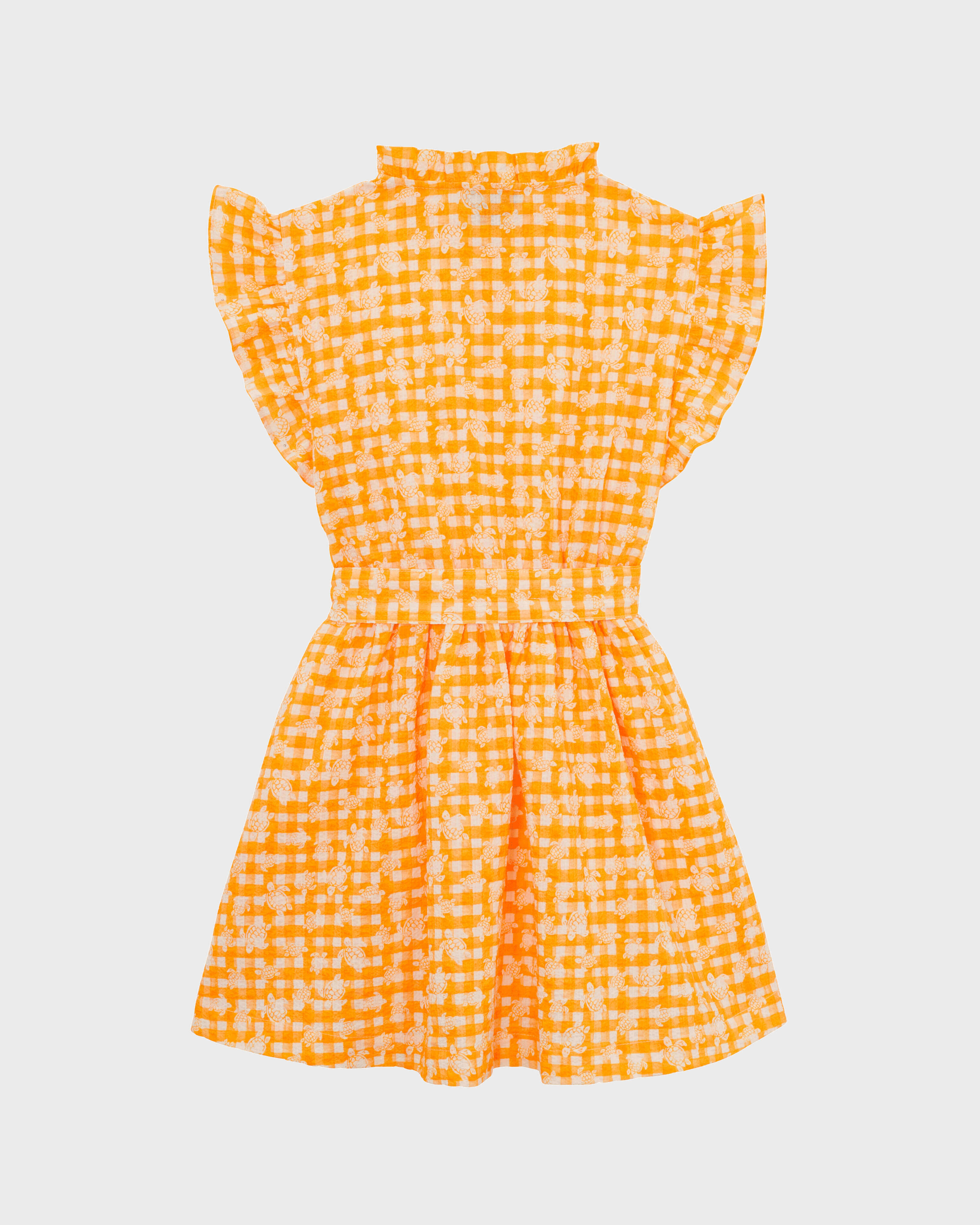 Girls Cotton Dress Turtle Vichy MANGO back view