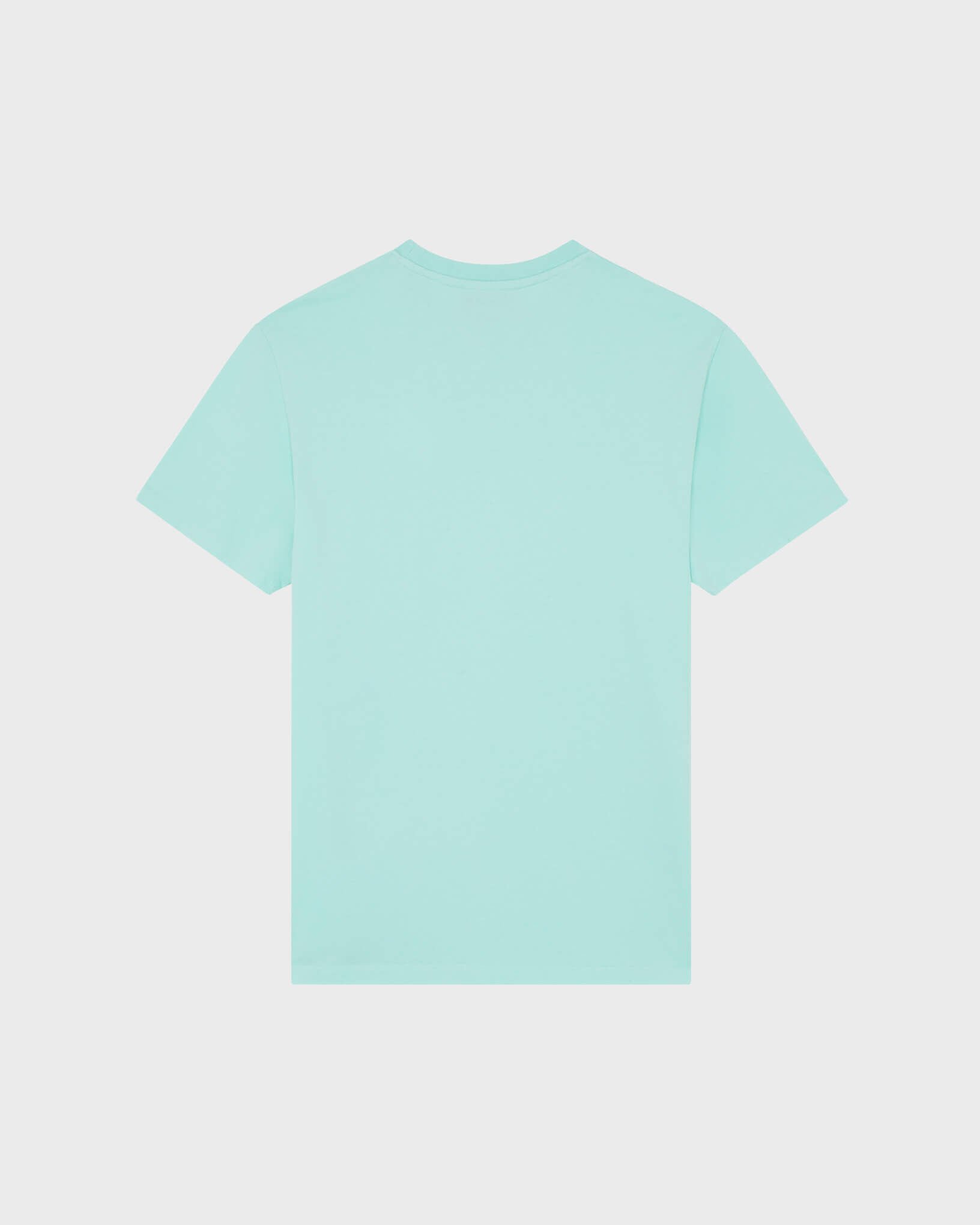 Men Organic Cotton T-shirt Big Turtle Embroidery CARIBBEAN back view