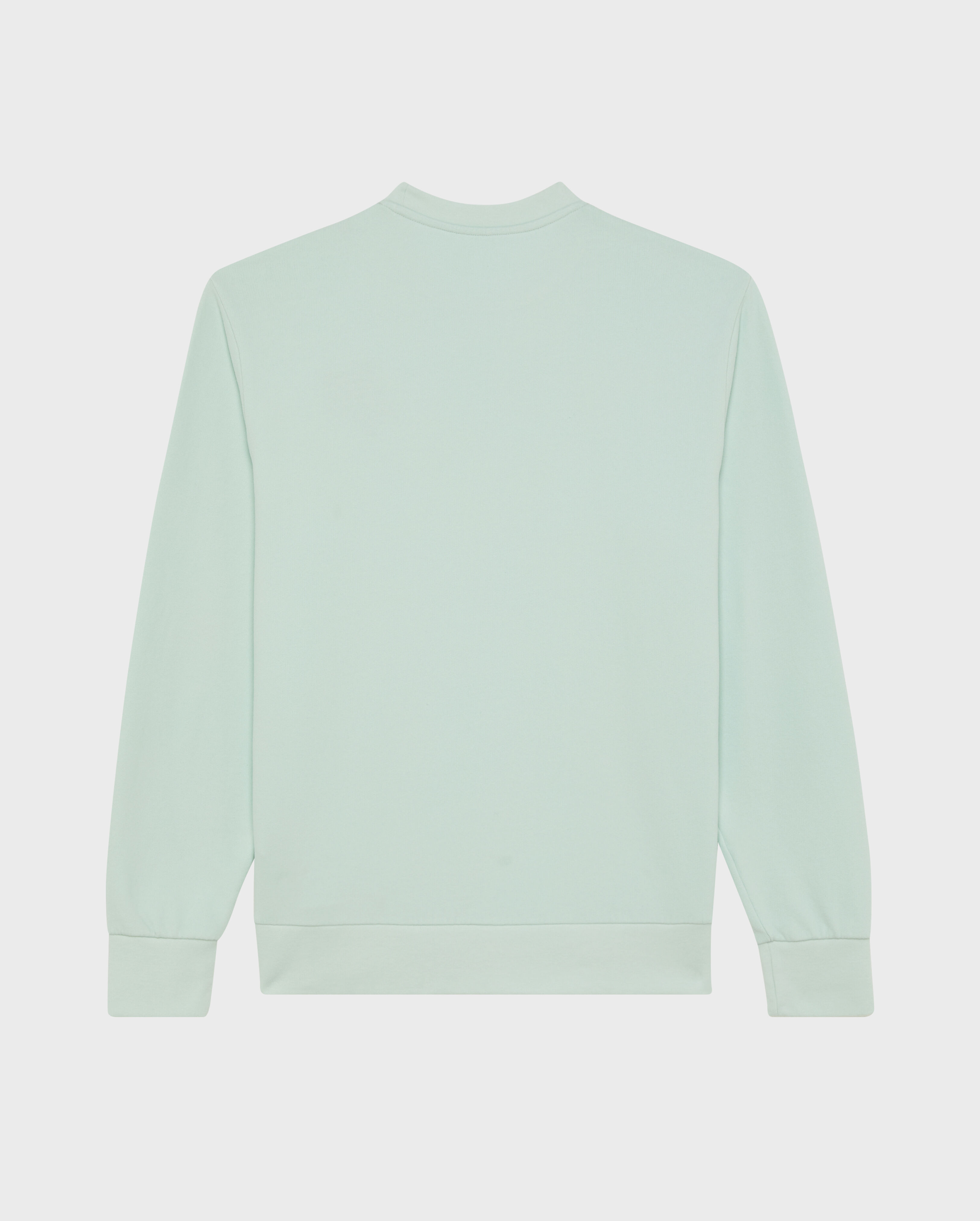 Men Crewneck Cotton Sweatshirt Big Turtle Embroidery PACIFIC back view