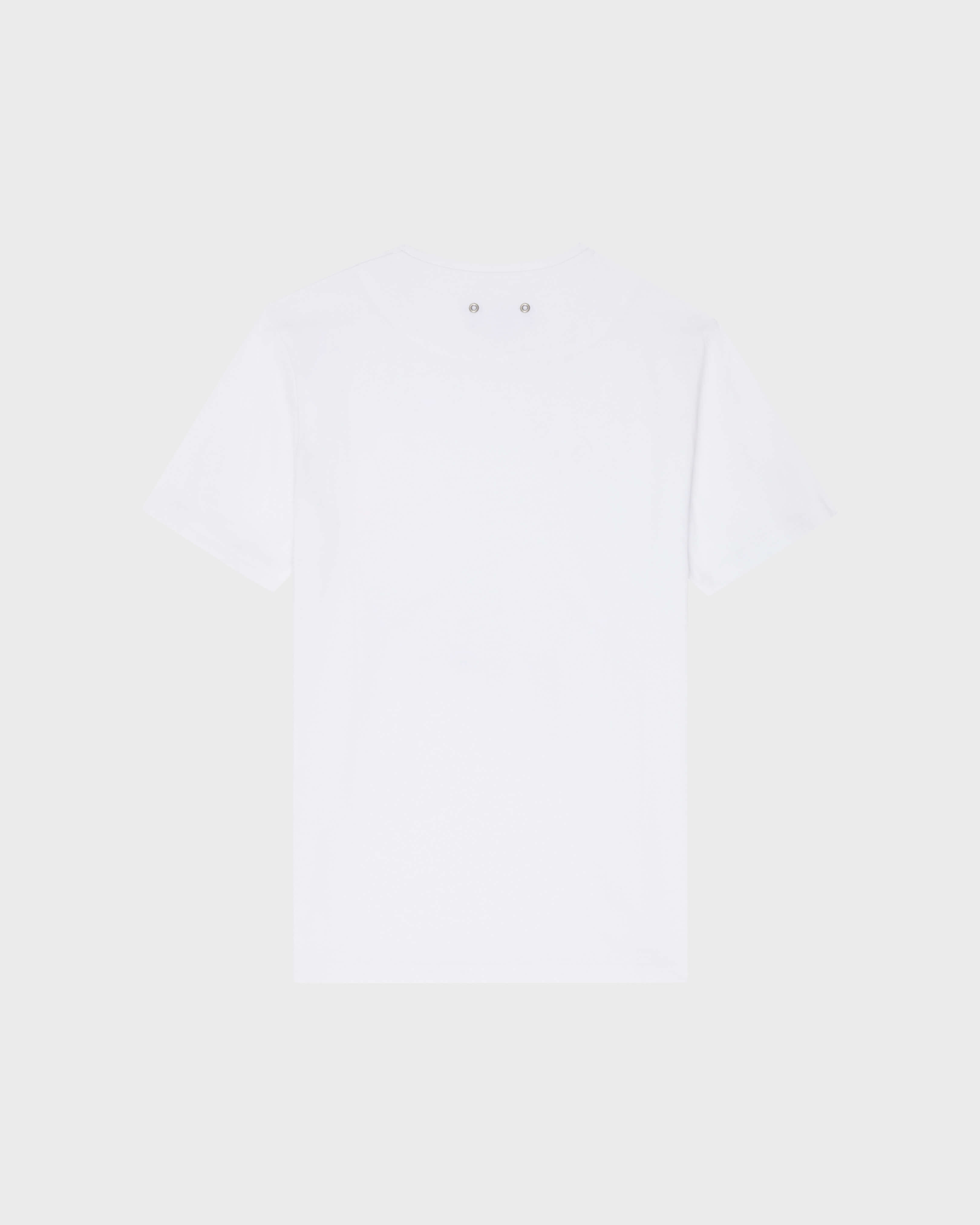 Men Organic Cotton T-shirt Whales WHITE back view