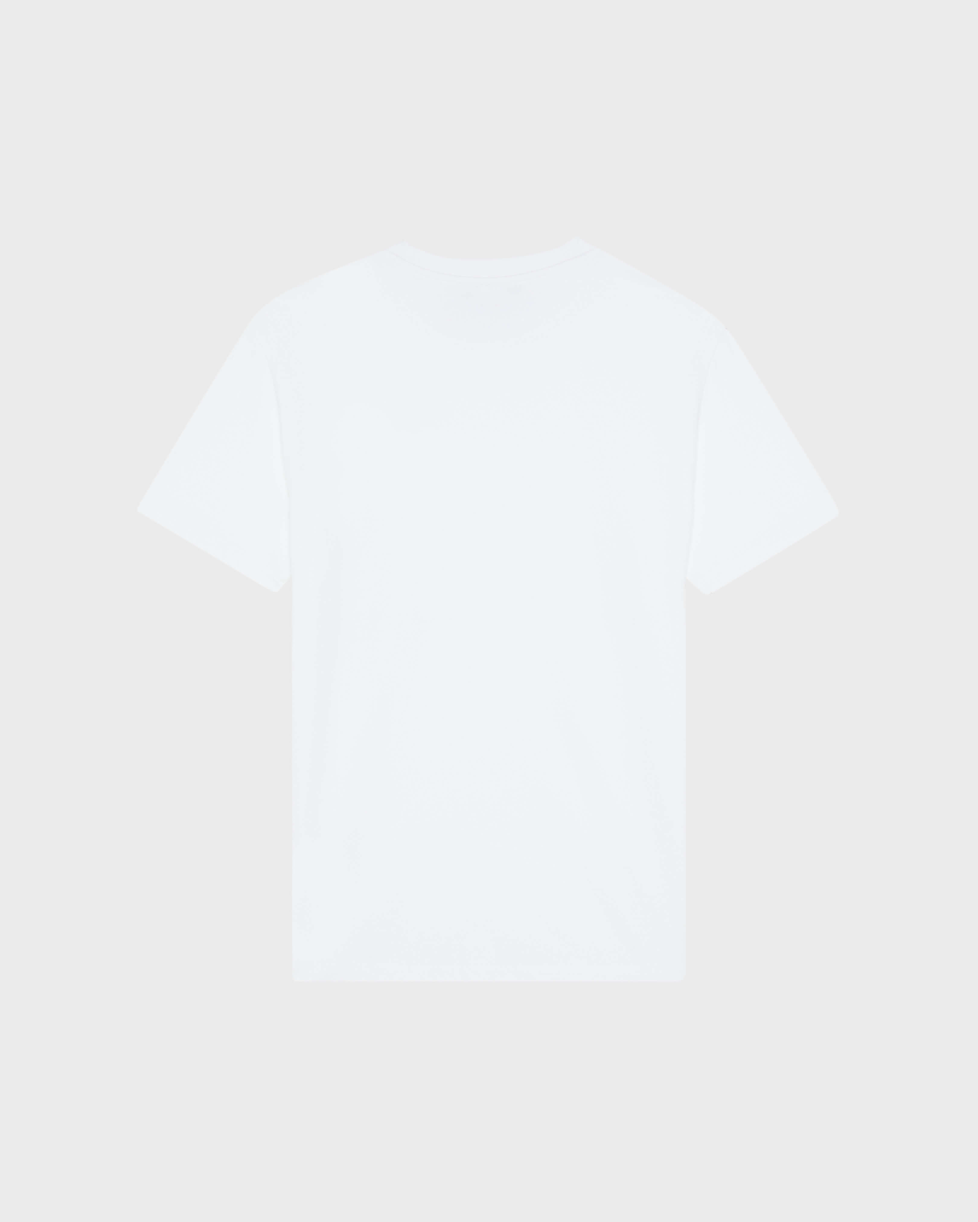Men Organic Cotton T-shirt Embroidered Turtle WHITE back view