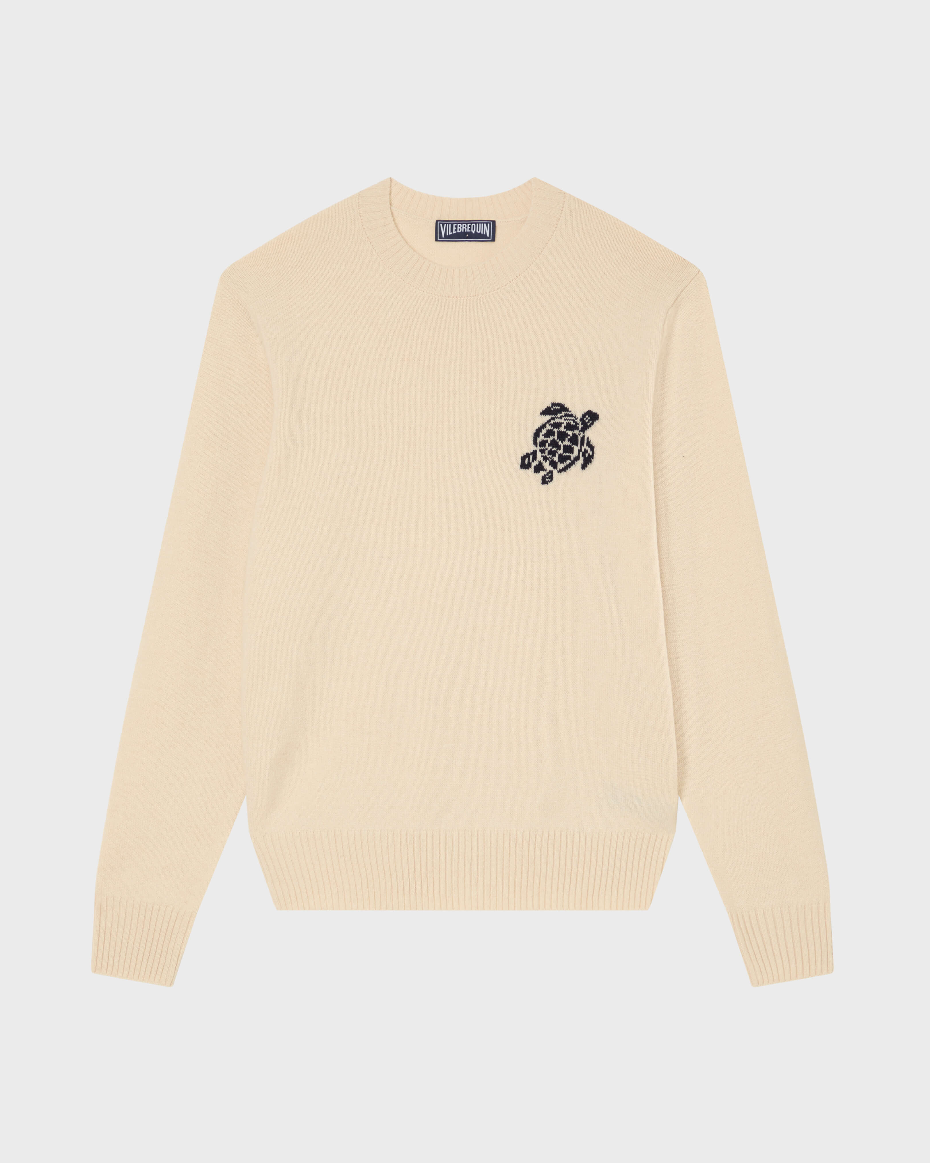 Jersey de lana y cachemir con estampado Turtle para hombre BRUME front view