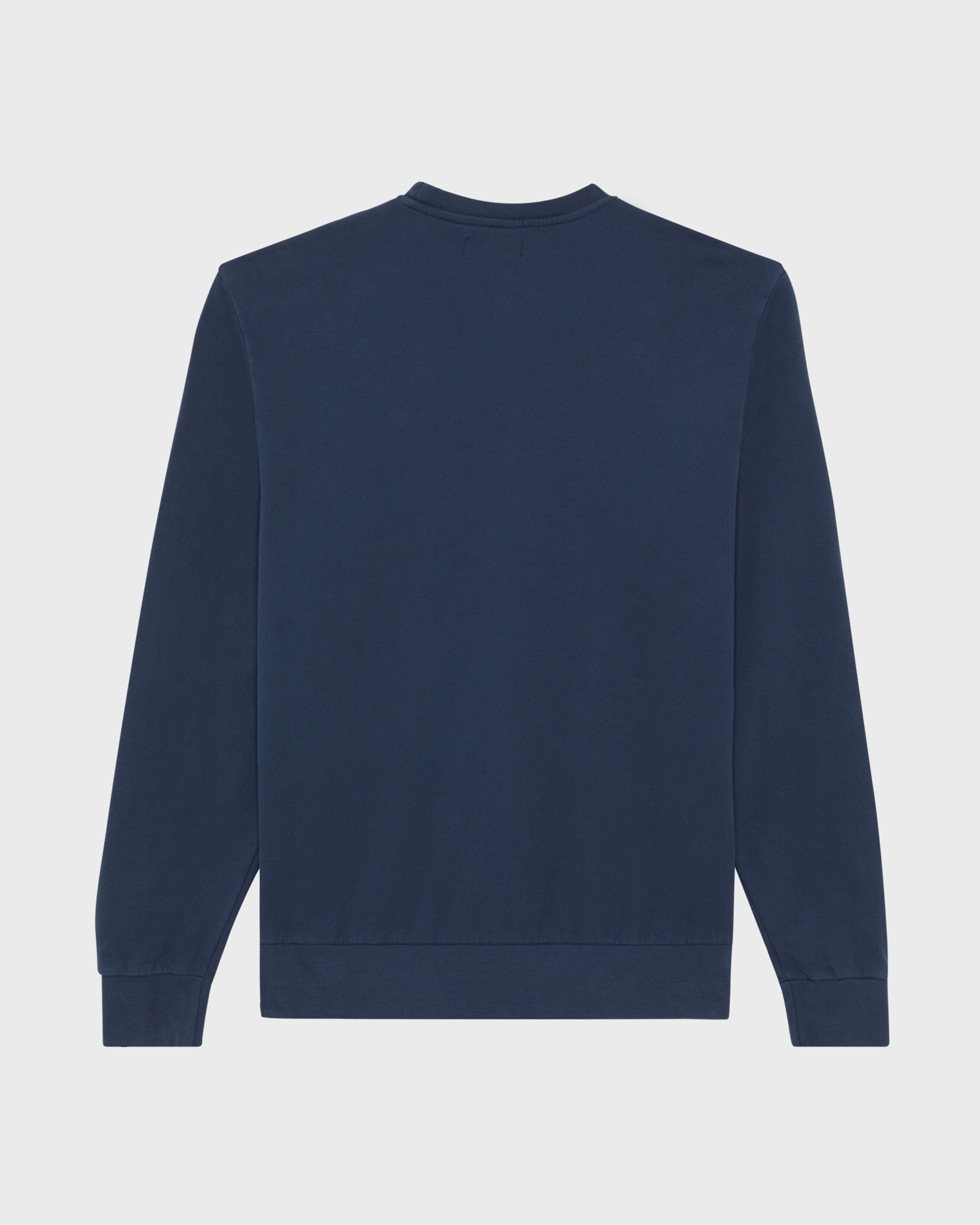 Men Crewneck Cotton Sweatshirt Big Turtle Embroidery NAVY back view