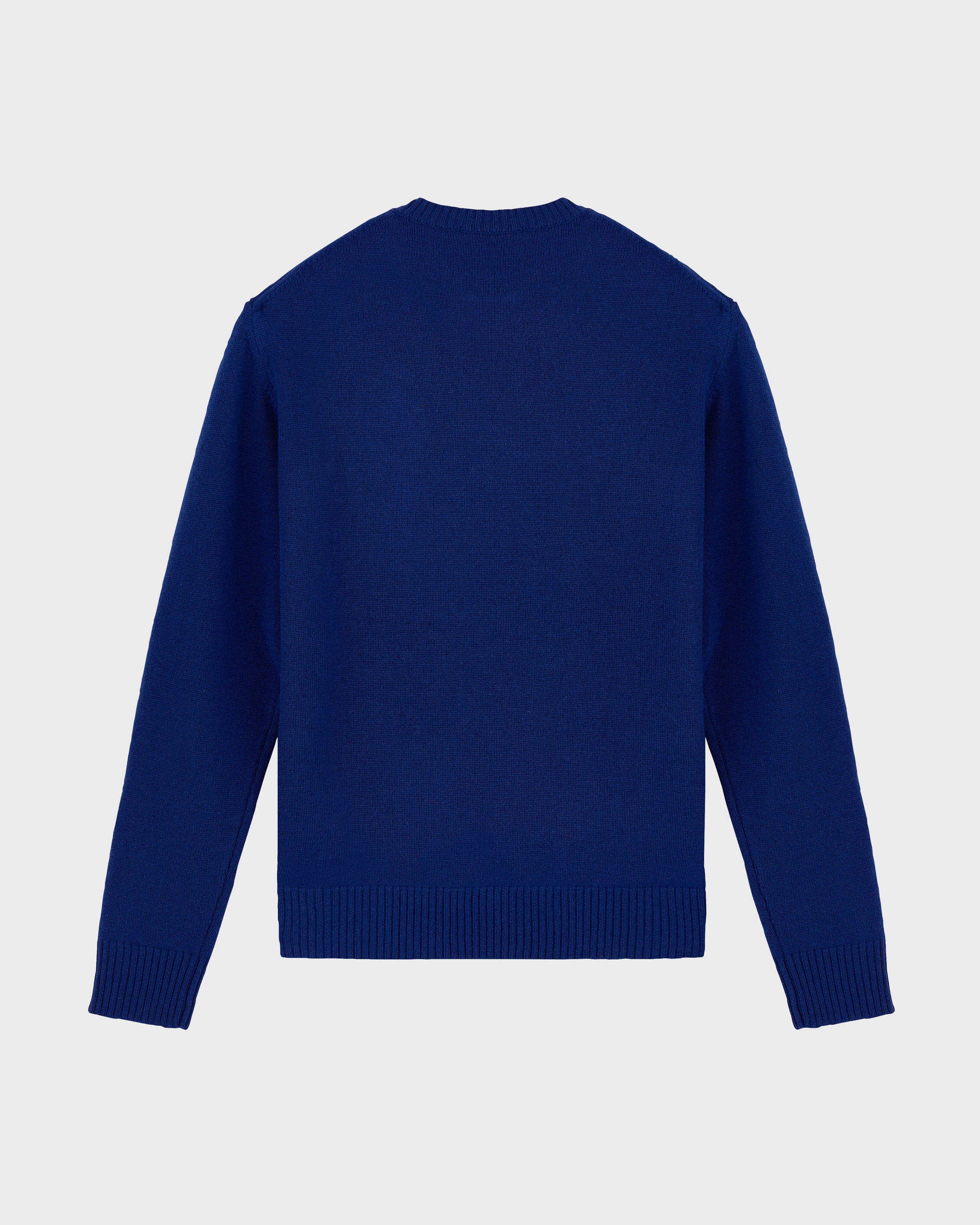 Men Crewneck Cotton and Cashmere Sweater Turtle PURPLE BLUE back view