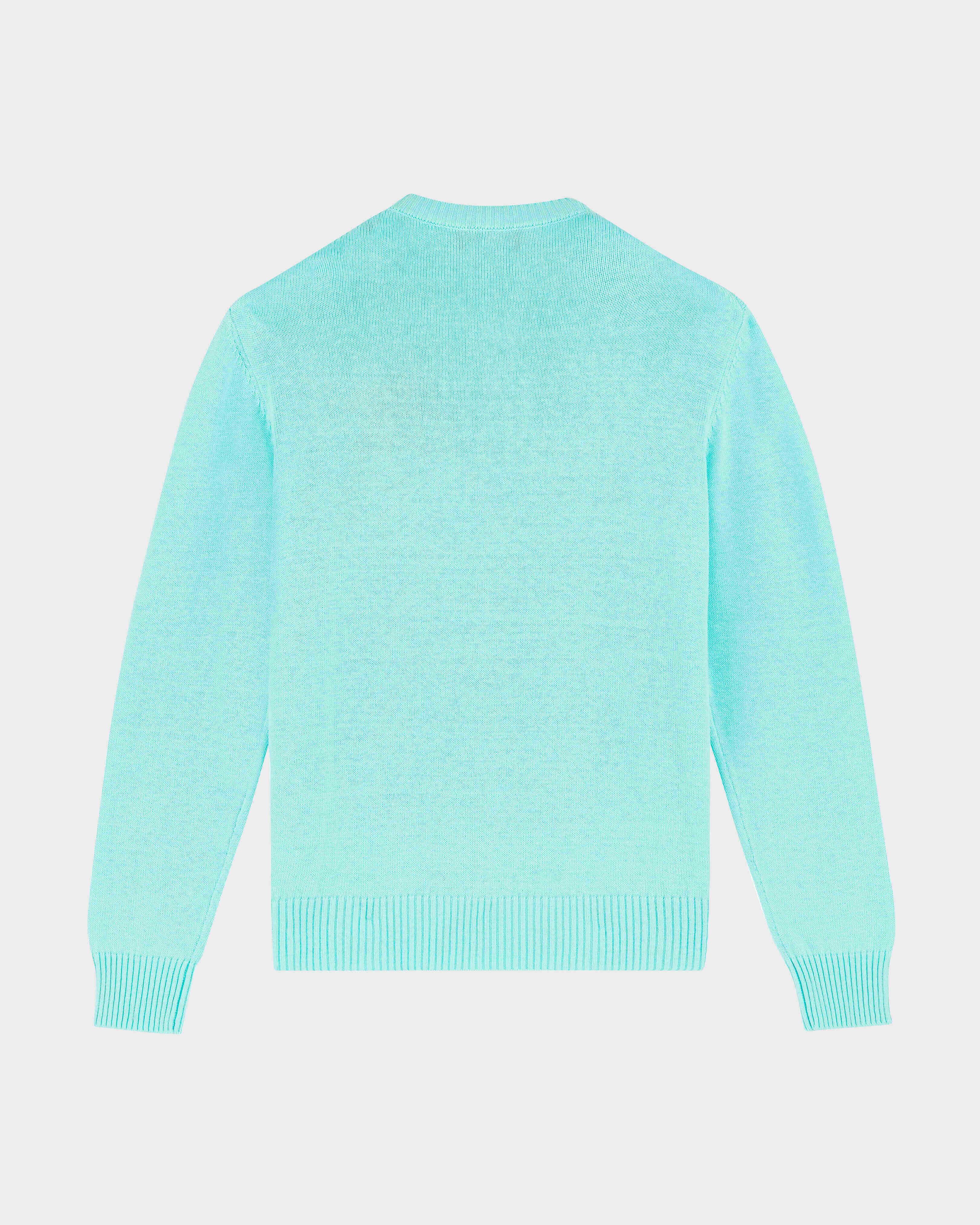 Jersey de algodón y cachemir de cuello redondo y estampado Turtle para hombre ACQUA back view