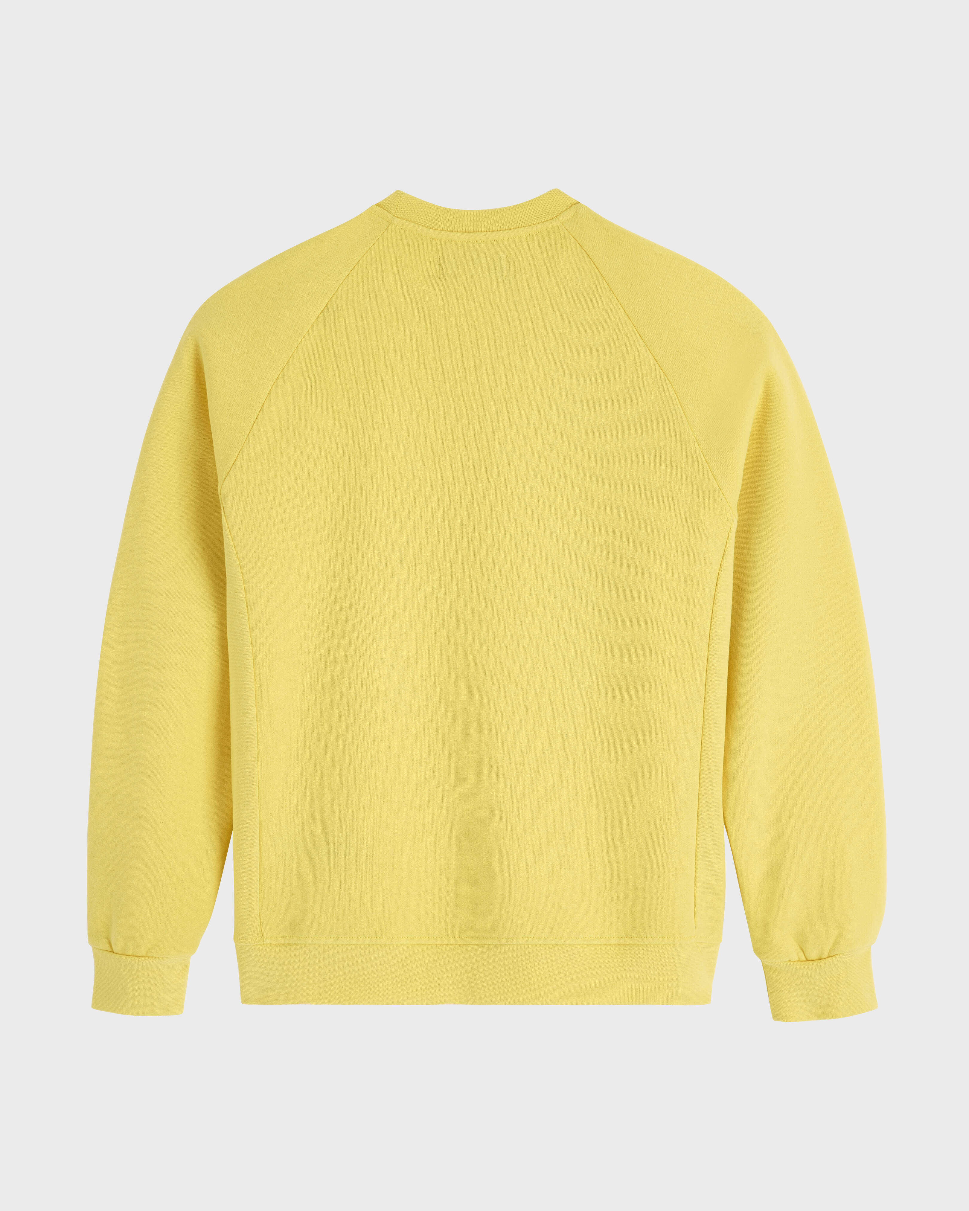 Sweat en coton polaire homme imprimé Turtle Skier Snow and Sun BOUTON D'OR back view