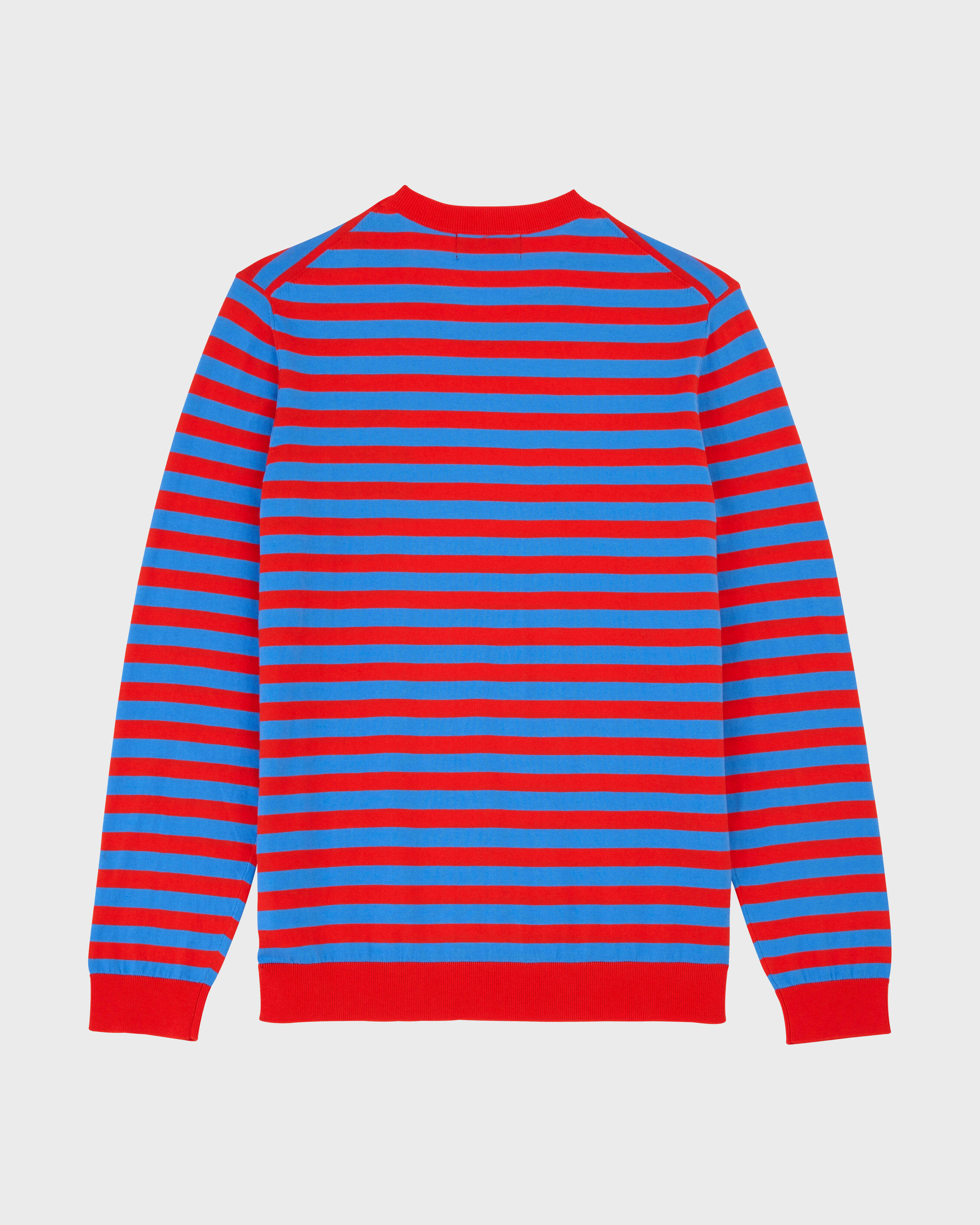 Men Cotton Crewneck Striped Sweater BLUE / RED back view