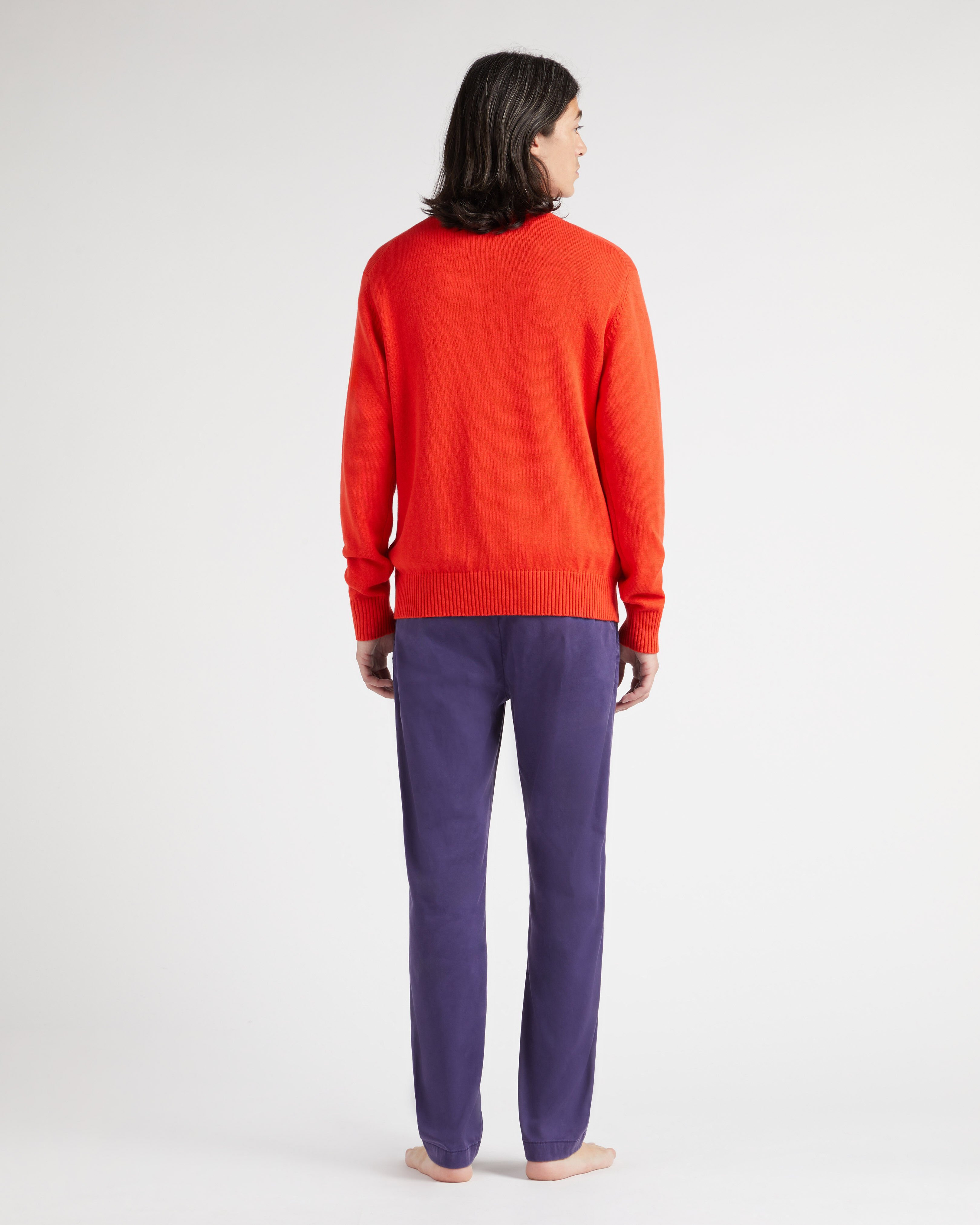Men Crewneck Cotton Cashmere Sweater Turtle TILE backworn view