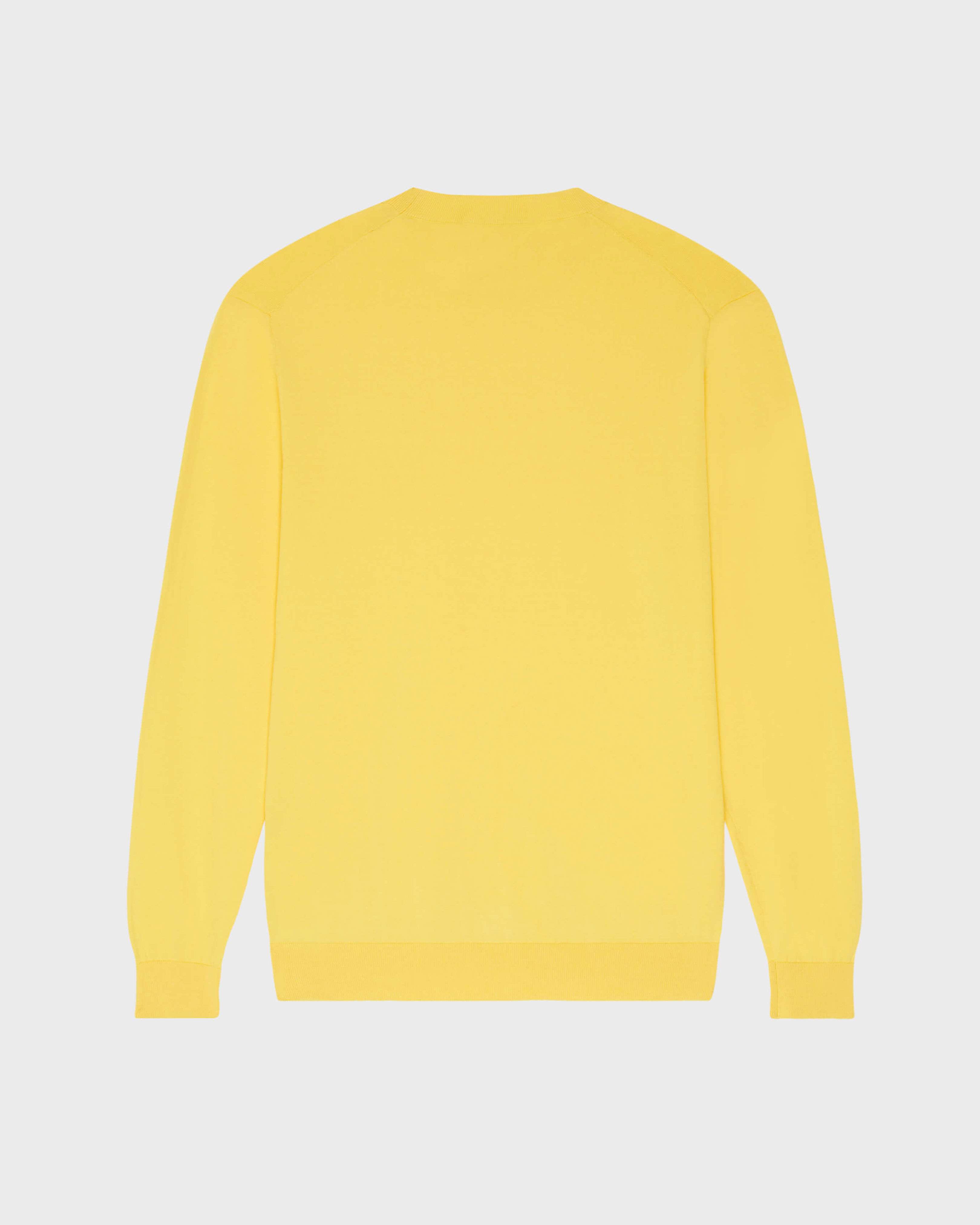 Sudadera de algodón para hombre con diseño de tortuga SOL back view