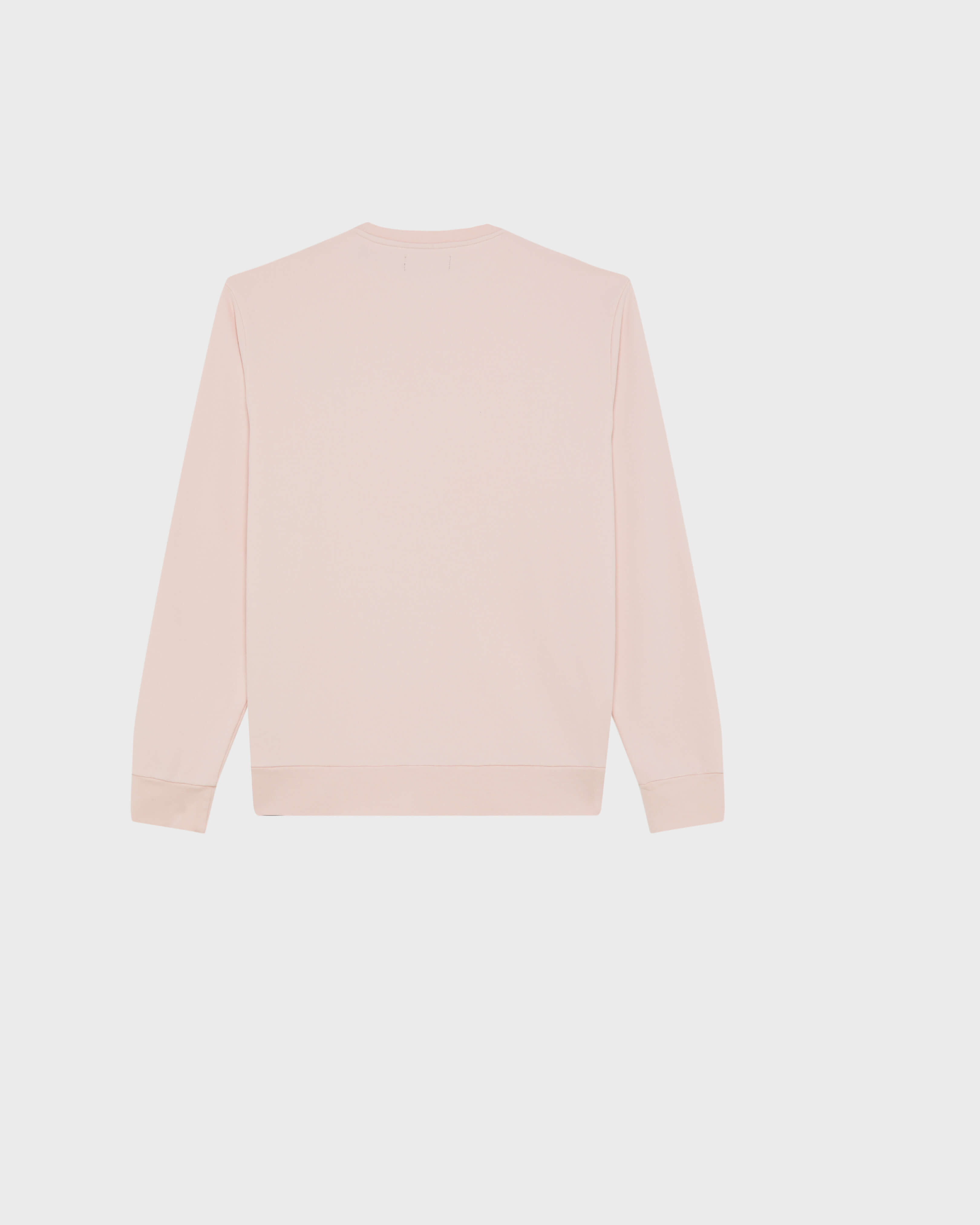 Men Crewneck Organic Cotton Sweatshirt Turtle PEONY back view