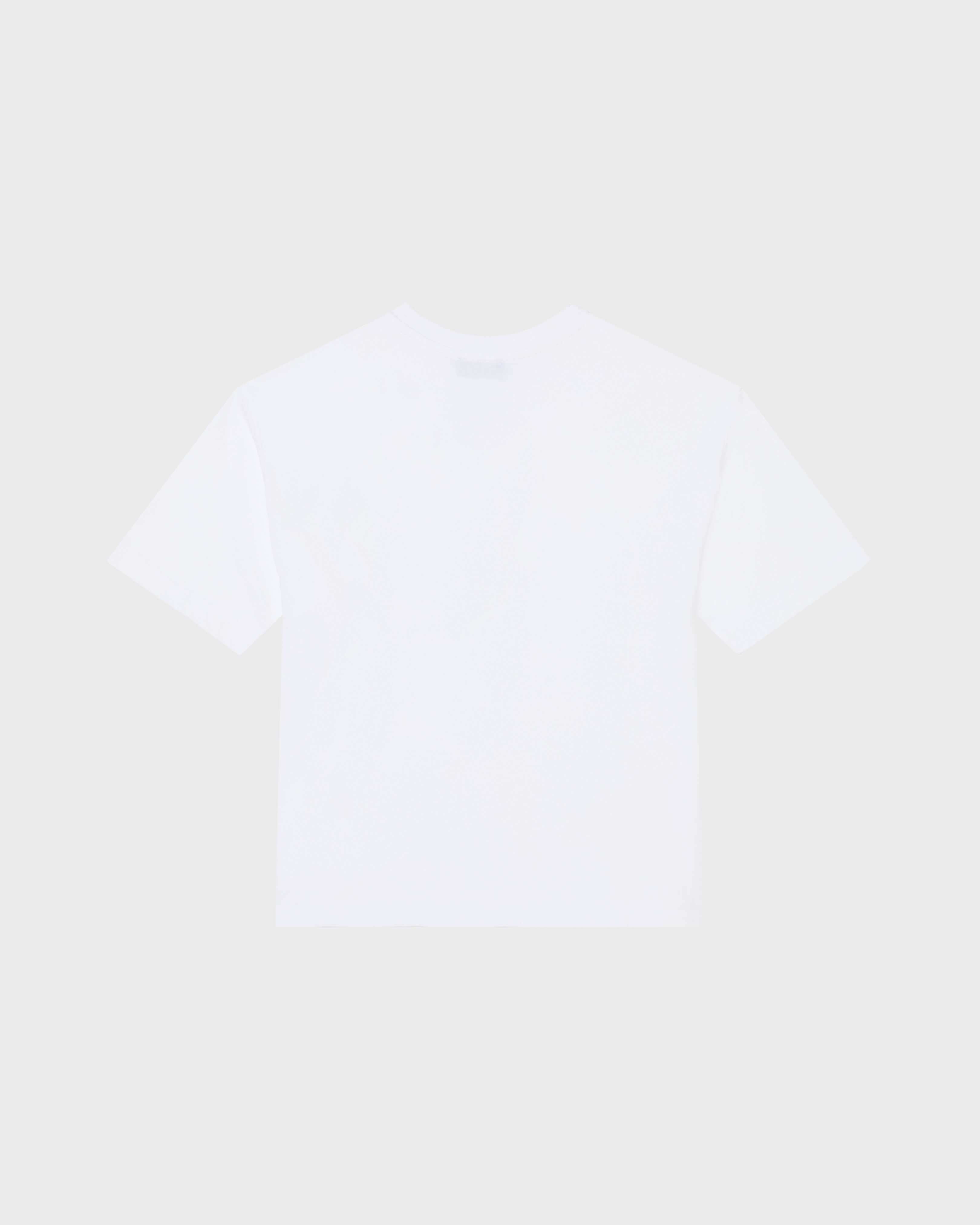 Kids Organic Cotton Oversize T-shirt Frangipanier BLANCO back view