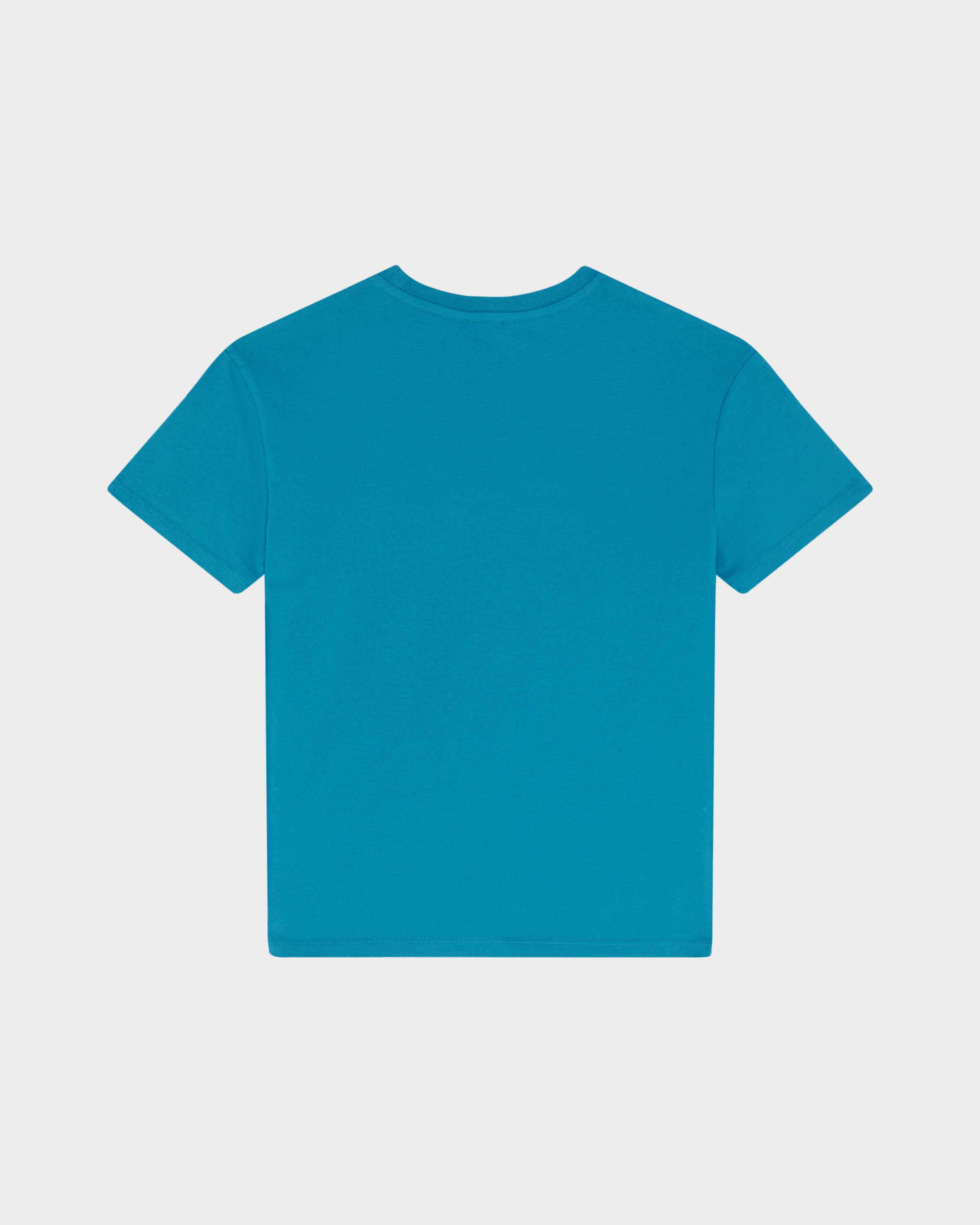 Camiseta de algodón orgánico con tortuga bordada para niño COIN COIN back view