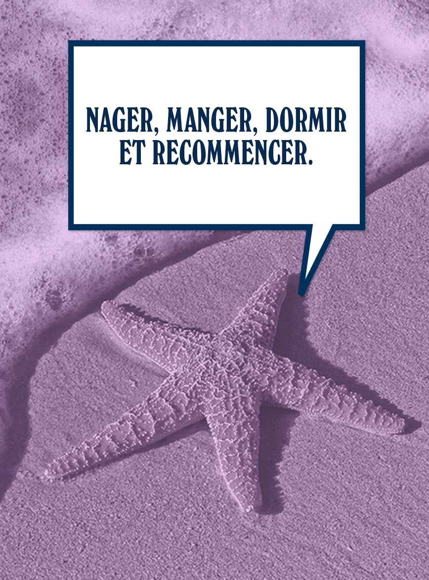 Le saviez-vous ? Le saviez-vous ?