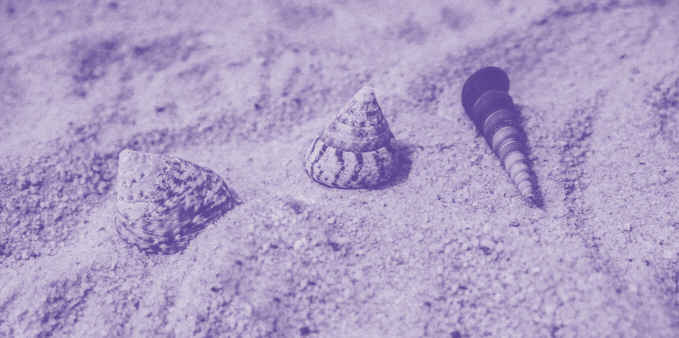 Beach Bums