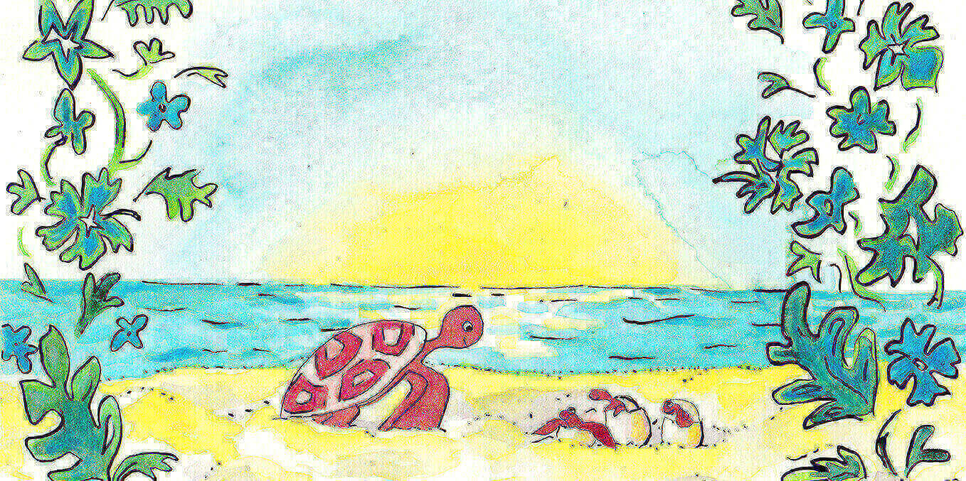 Cuento de tortuga Vilebrequin - Capítulo 2 Cuento de tortuga Vilebrequin - Capítulo 2