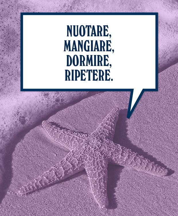 Curiosità Curiosità