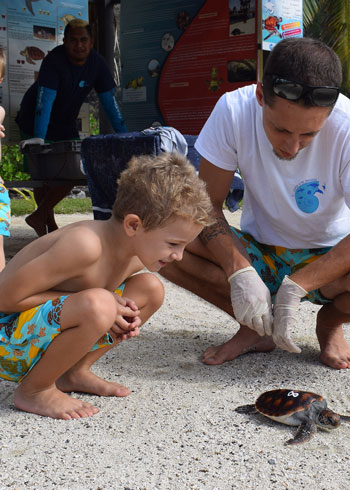Father and son watching a baby turtle