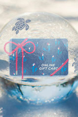 Picture of online vilebrequin gift card