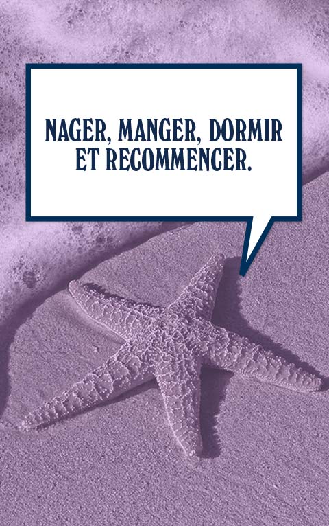 Le saviez-vous ? Le saviez-vous ?