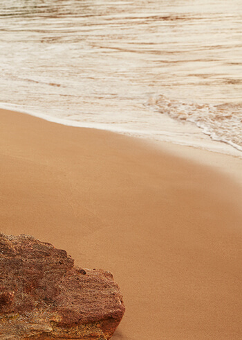 Beach landscape