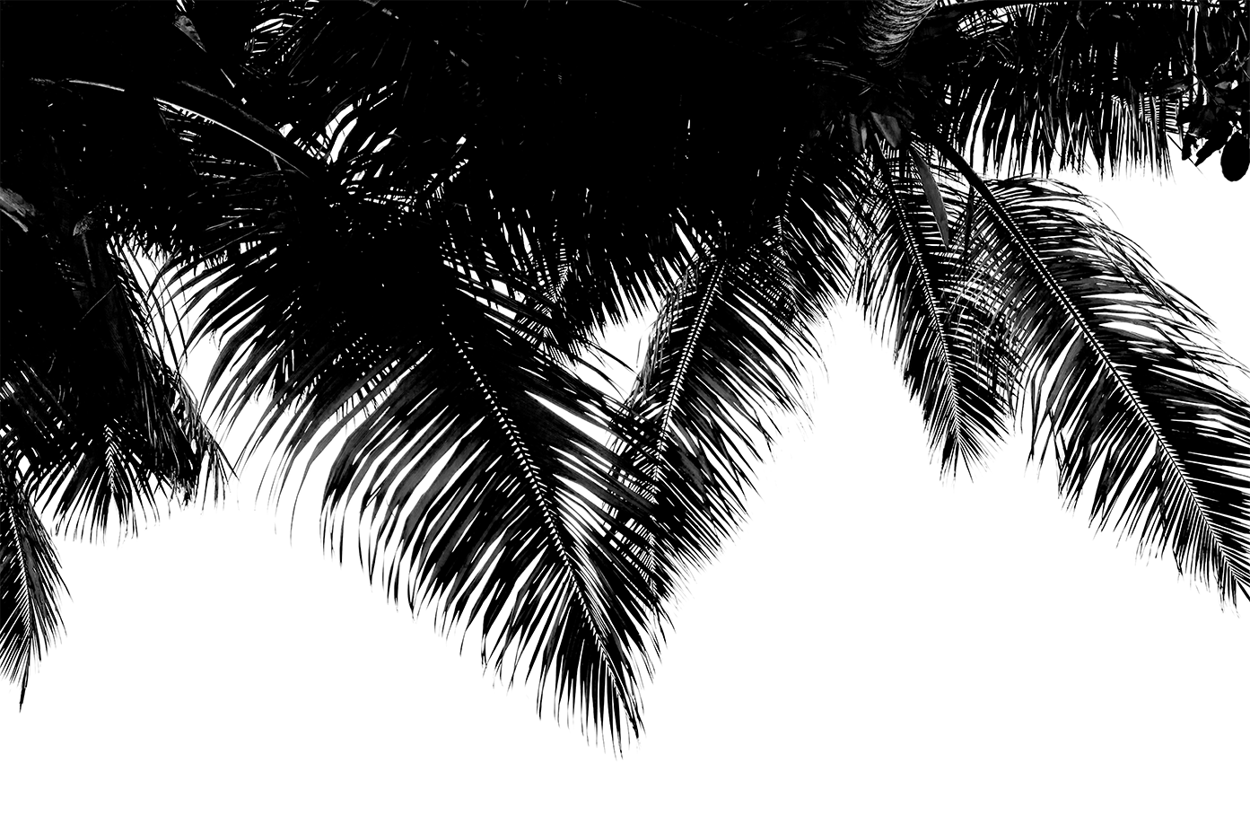 The limited embroidery swimwear by Vilebrequin The limited embroidery swimwear by Vilebrequin