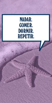 Dato curioso Dato curioso