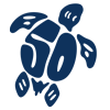 50th Anniversary turtle logo
