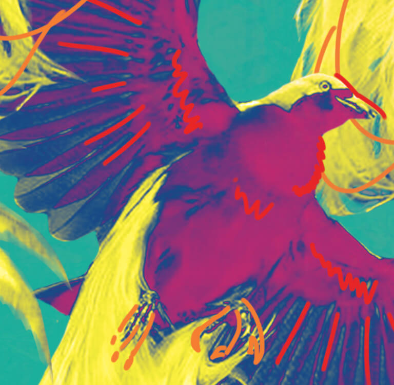 Browse by pattern Vilebrequin Browse by pattern Vilebrequin