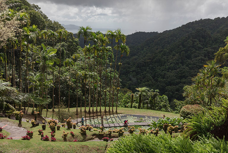 Martinique - botanische Garten Jardin de Balata